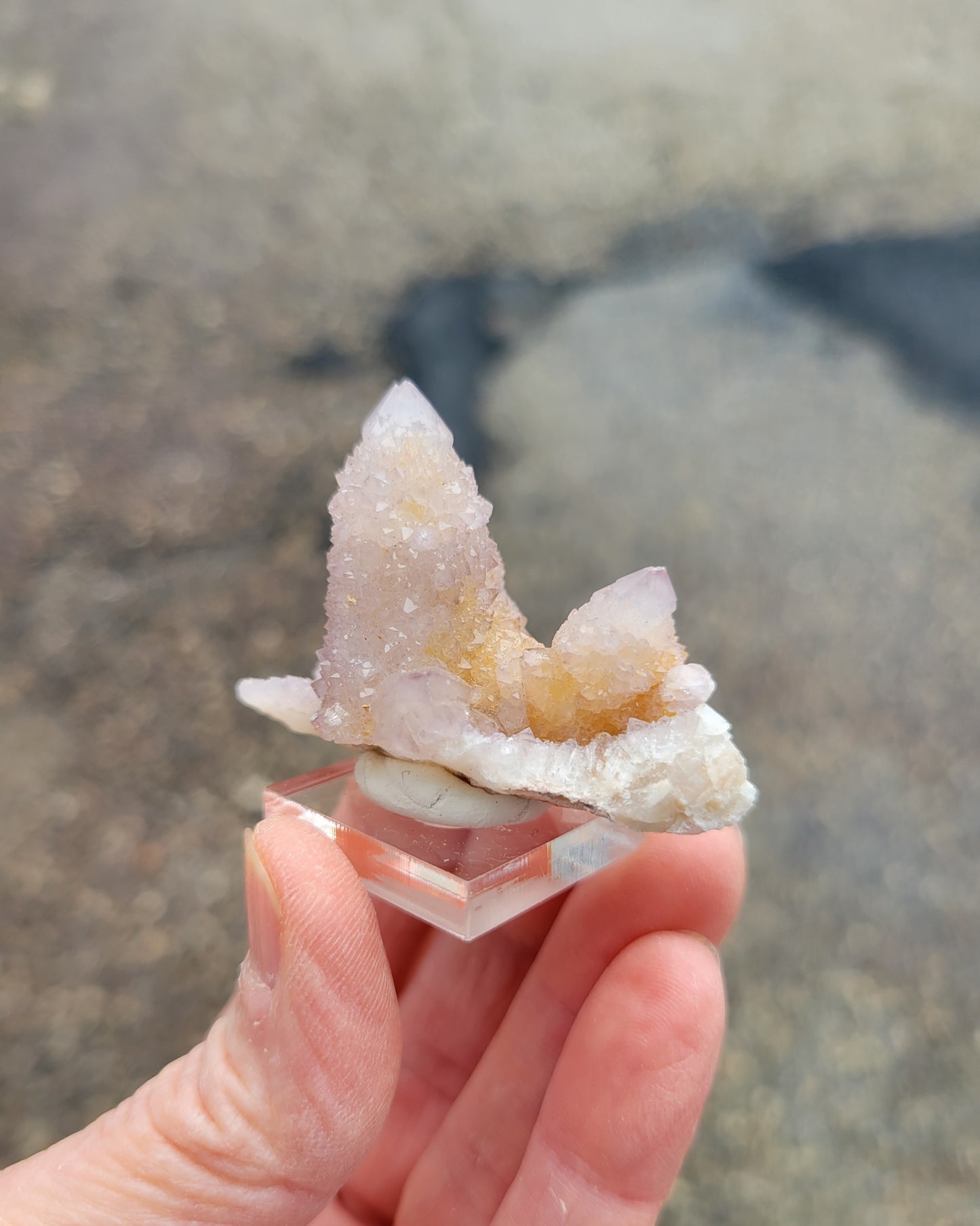 Spirit Cactus Quartz from Rep. South Africa