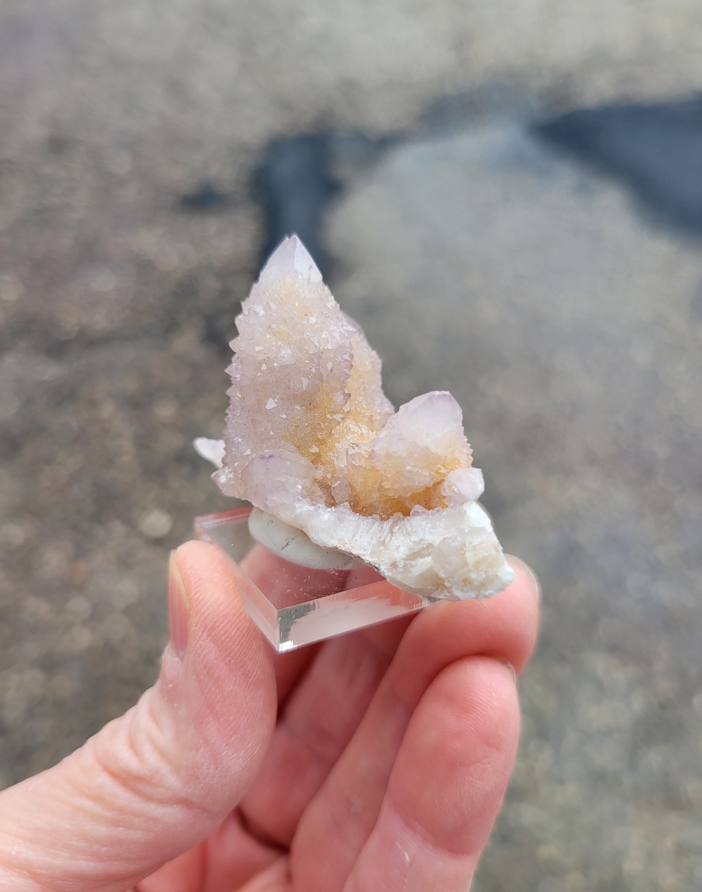 Spirit Cactus Quartz from Rep. South Africa