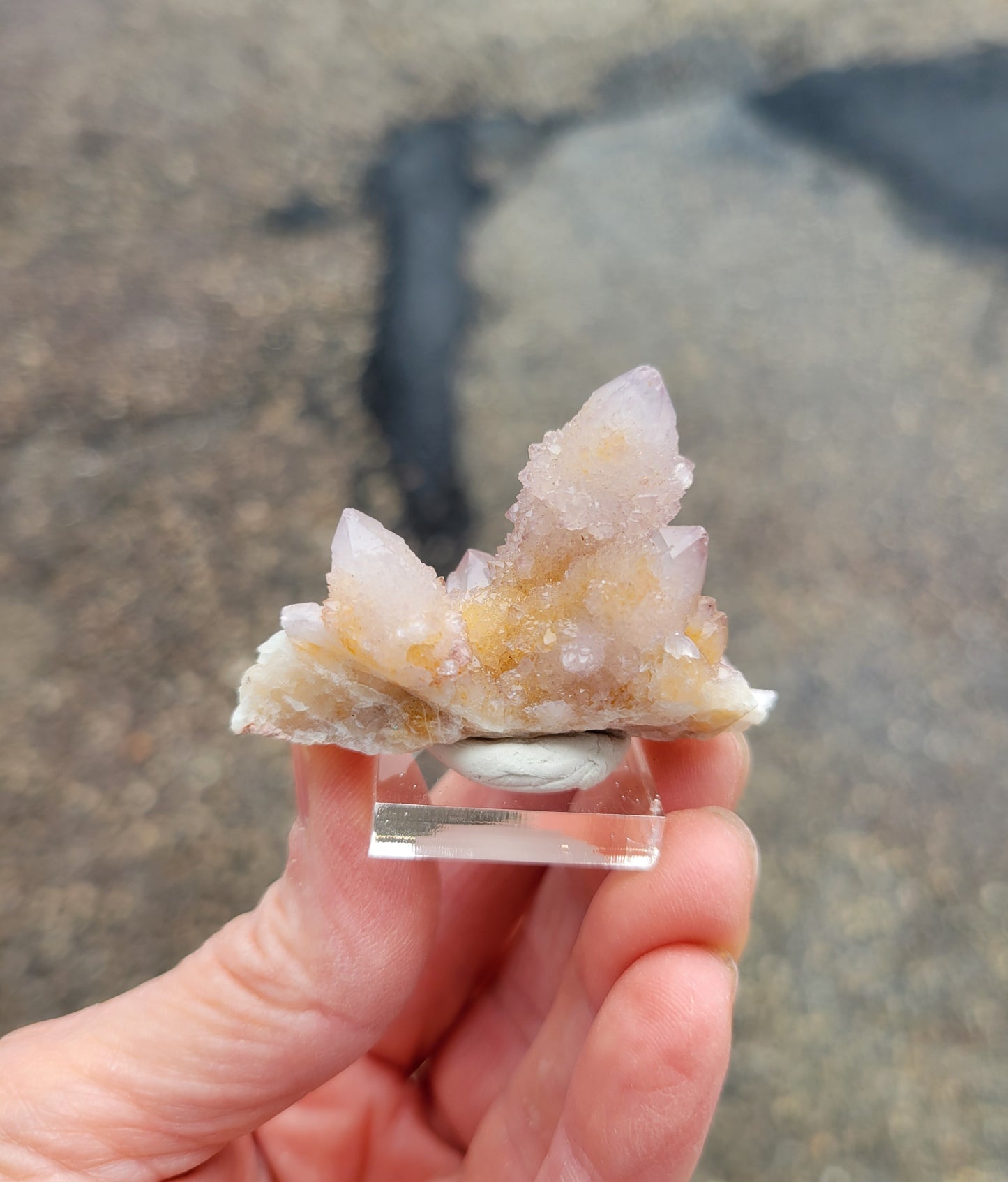 Spirit Cactus Quartz from Rep. South Africa