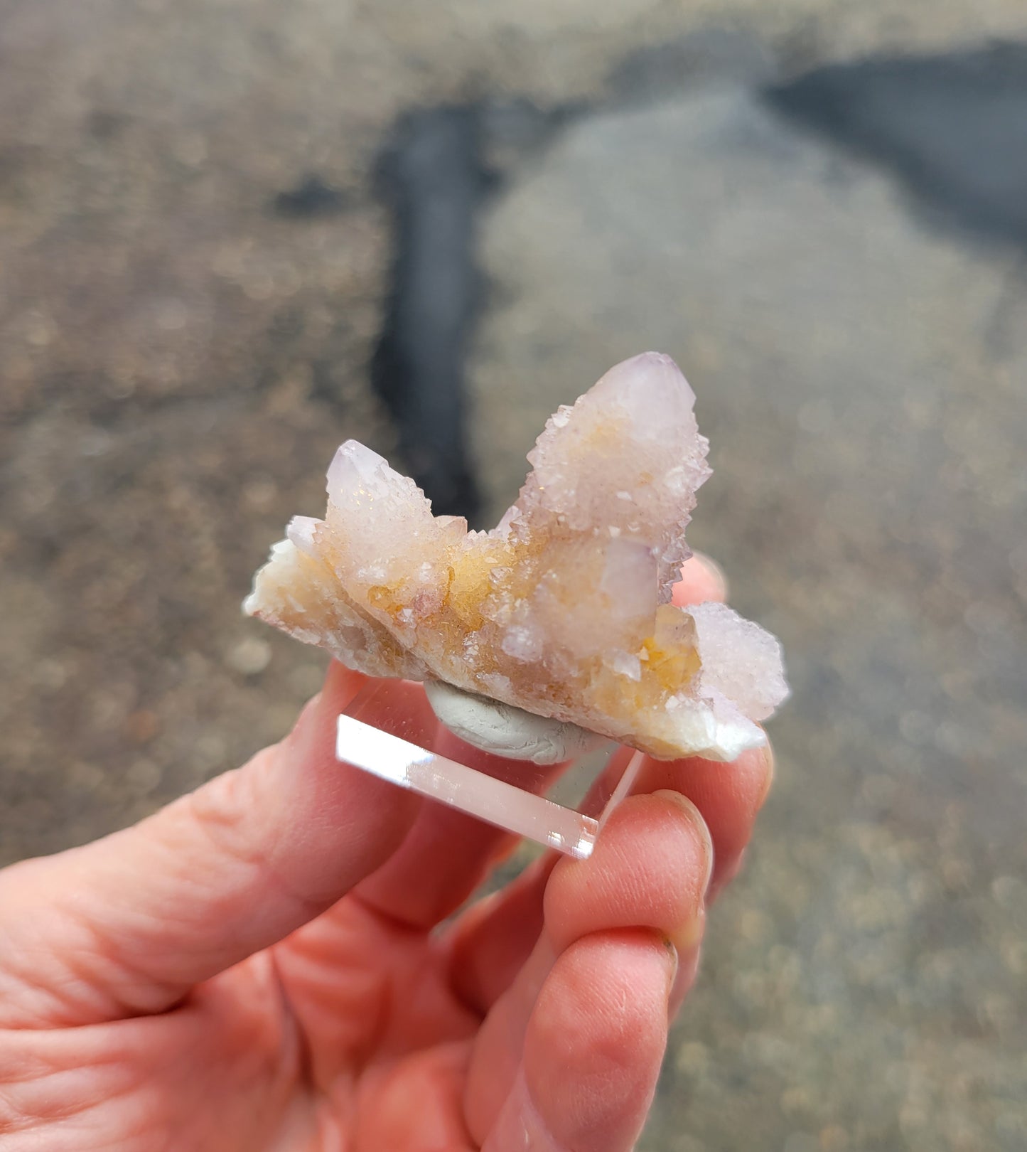 Spirit Cactus Quartz from Rep. South Africa