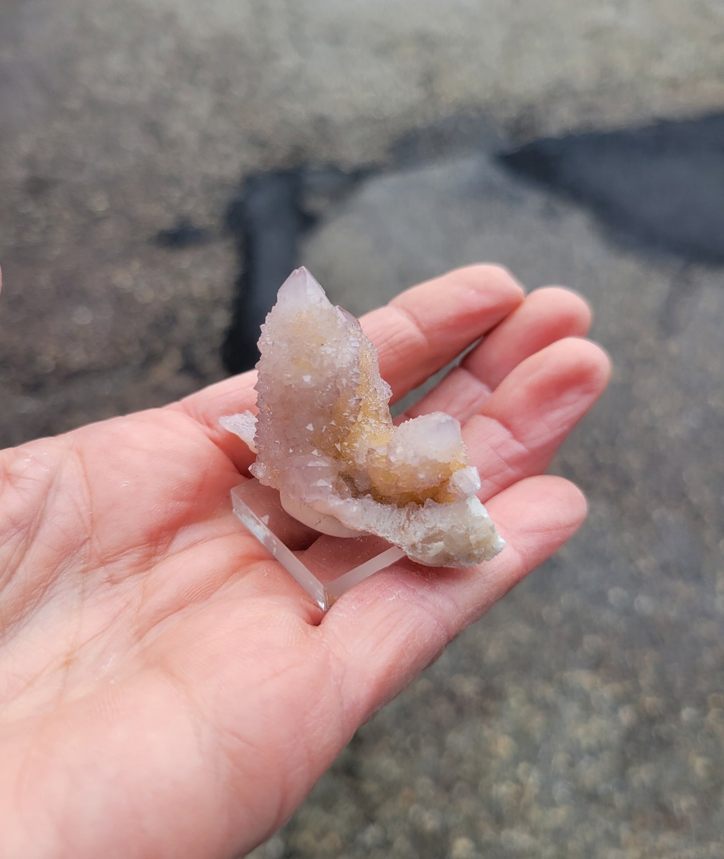 Spirit Cactus Quartz from Rep. South Africa