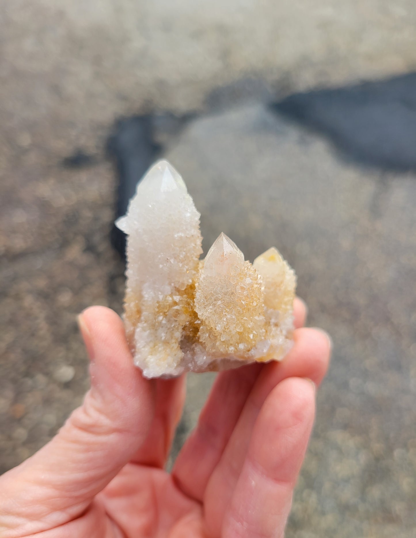 Spirit Cactus Quartz from Rep. South Africa