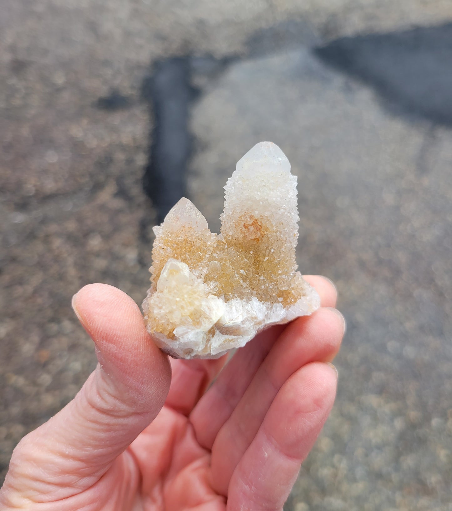 Spirit Cactus Quartz from Rep. South Africa