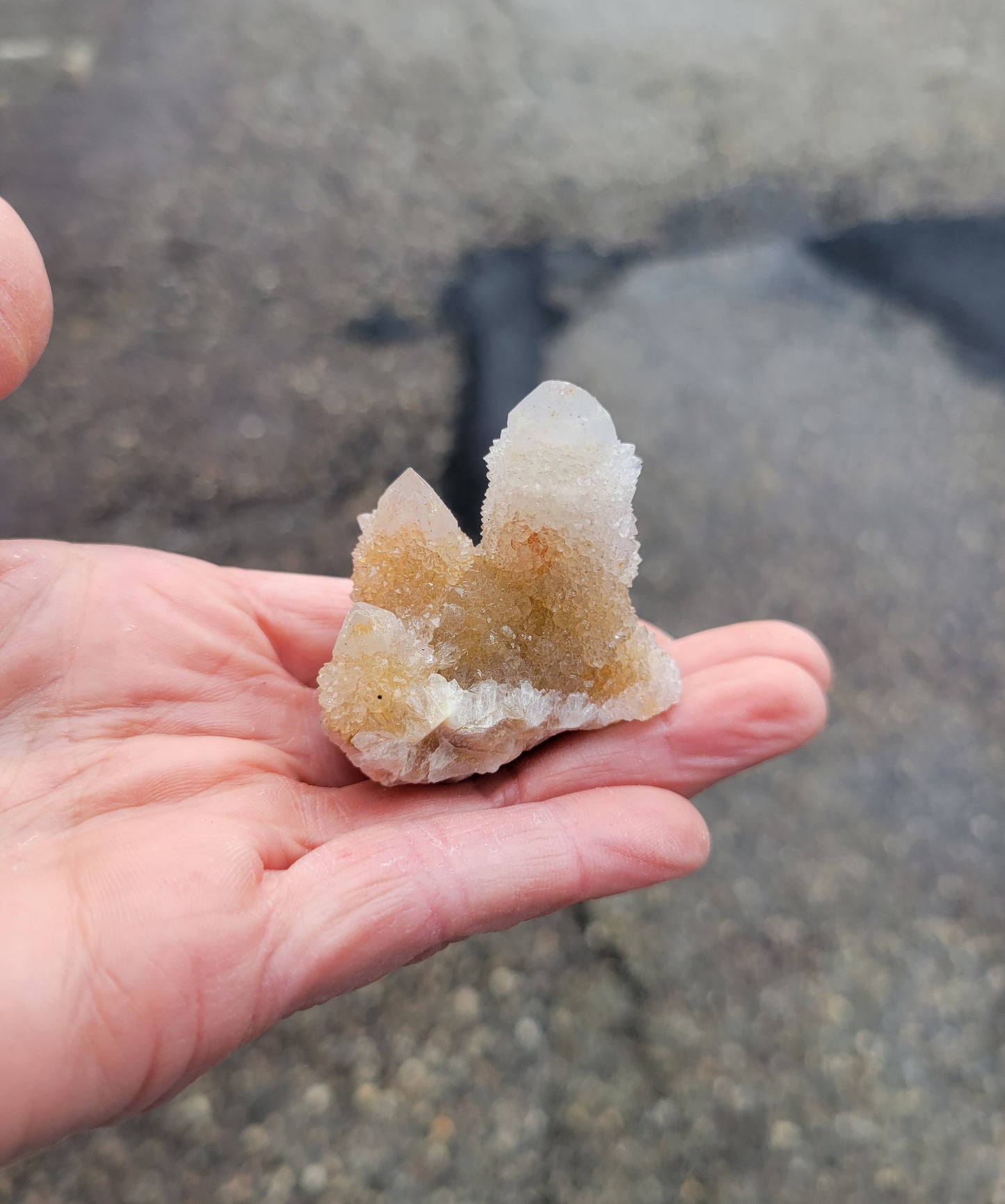 Spirit Cactus Quartz from Rep. South Africa