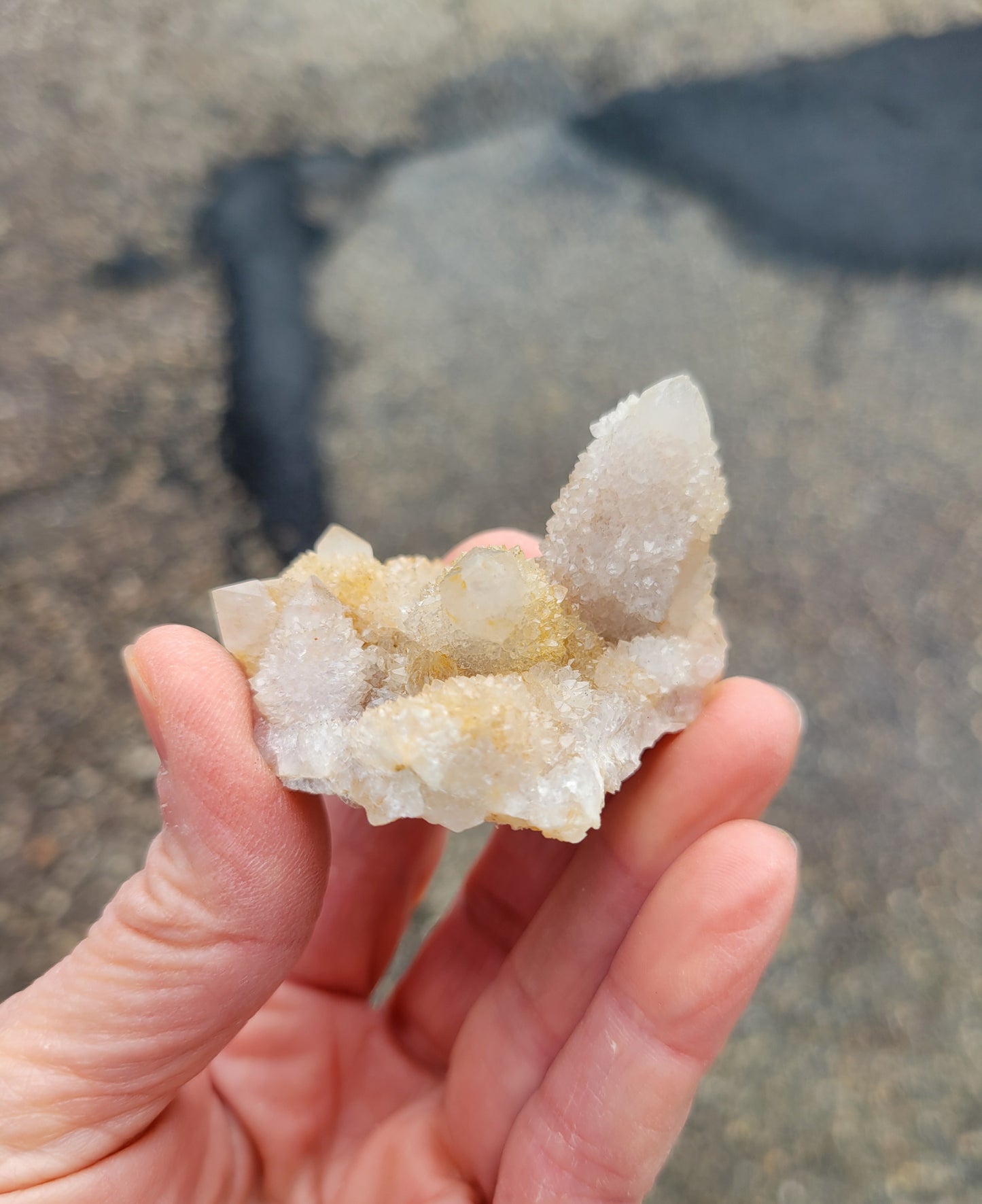 Spirit Cactus Quartz from Rep. South Africa