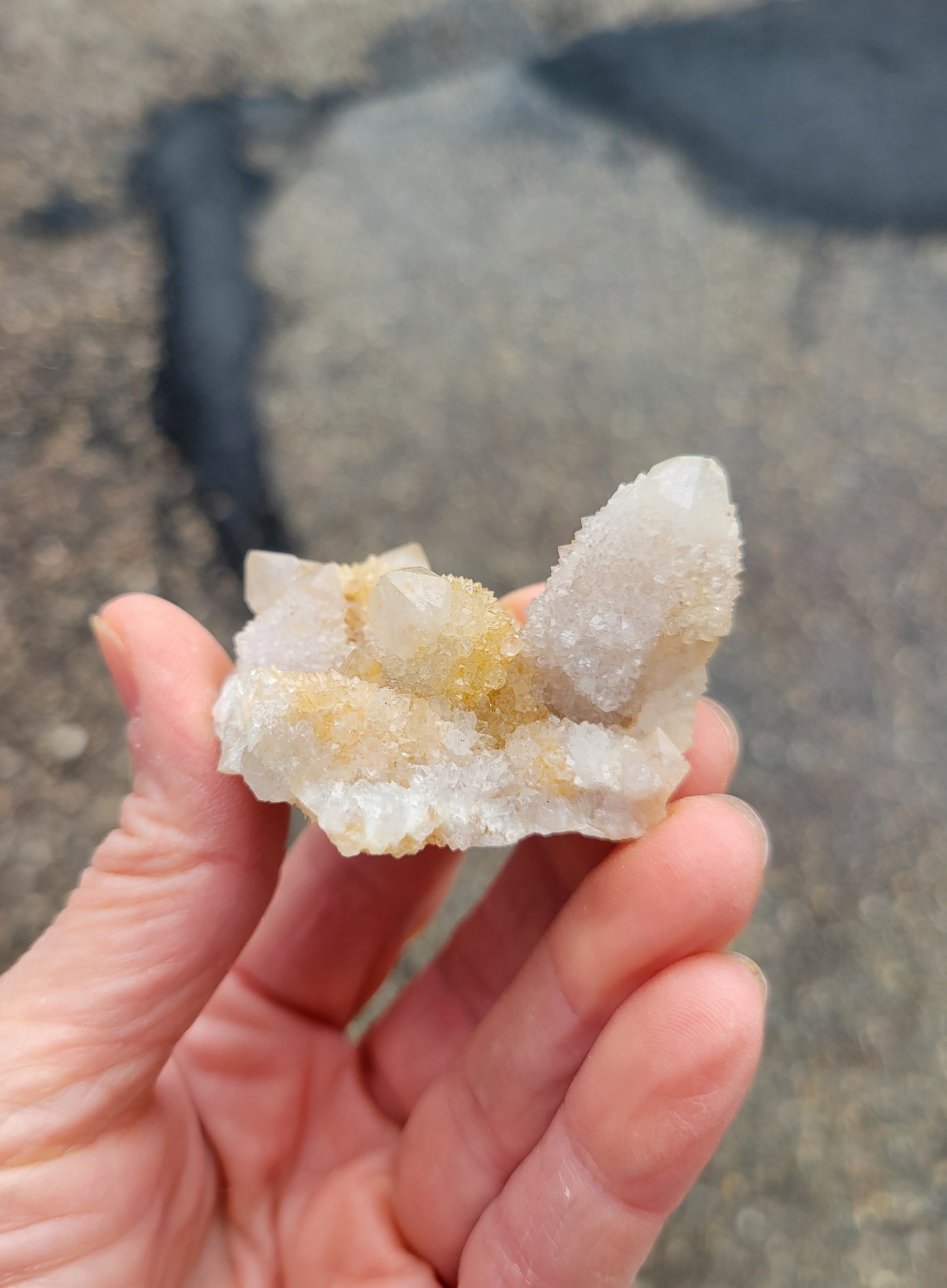 Spirit Cactus Quartz from Rep. South Africa