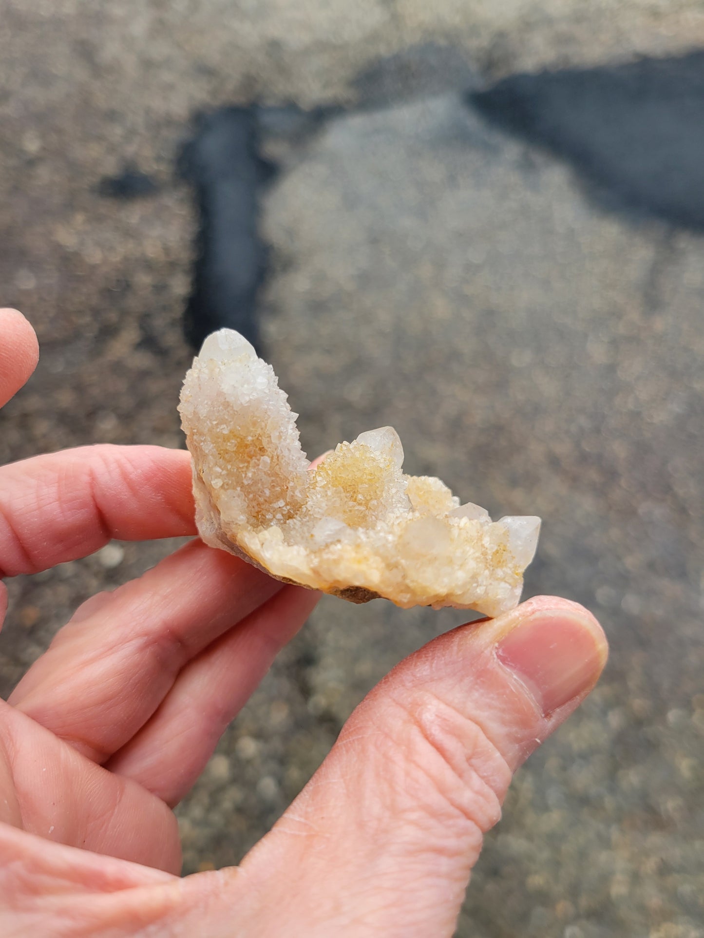 Spirit Cactus Quartz from Rep. South Africa