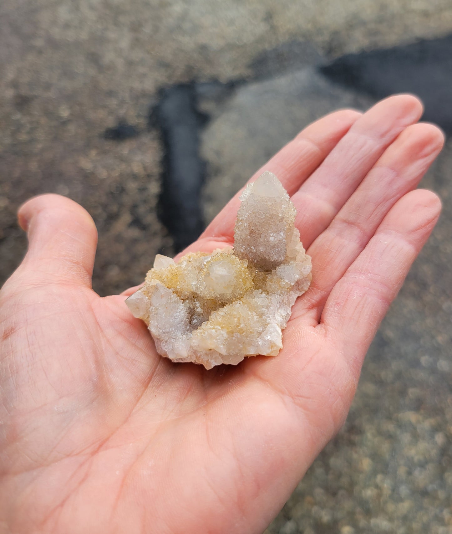 Spirit Cactus Quartz from Rep. South Africa