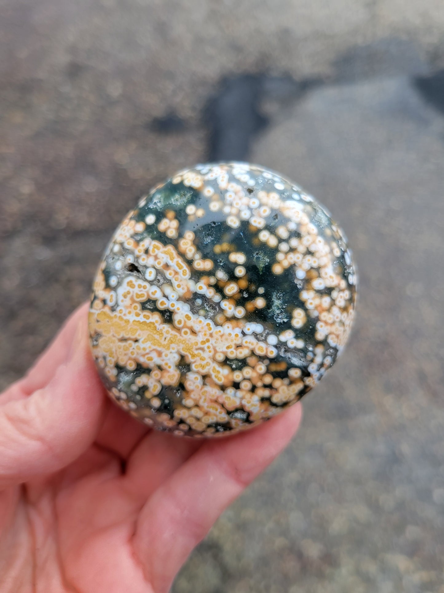 Ocean Jasper Palm Stone from Madagascar