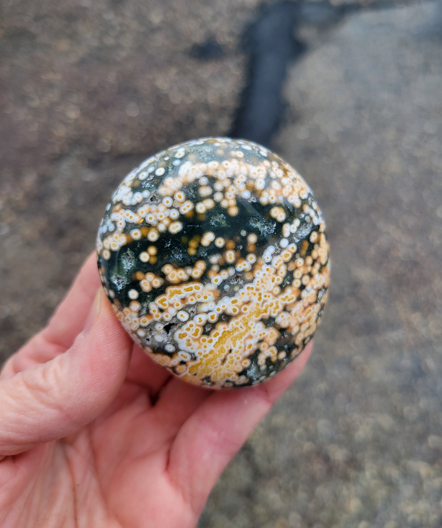 Ocean Jasper Palm Stone from Madagascar