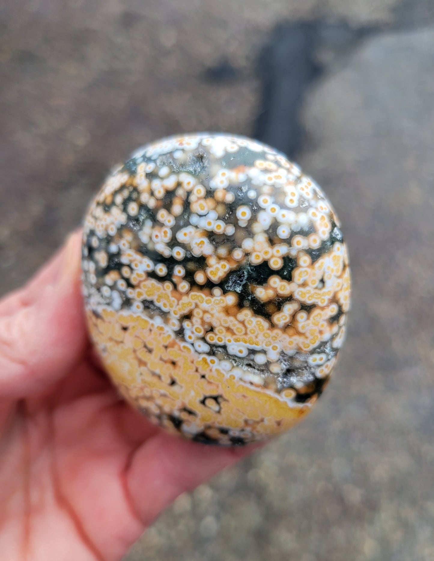 Ocean Jasper Palm Stone from Madagascar