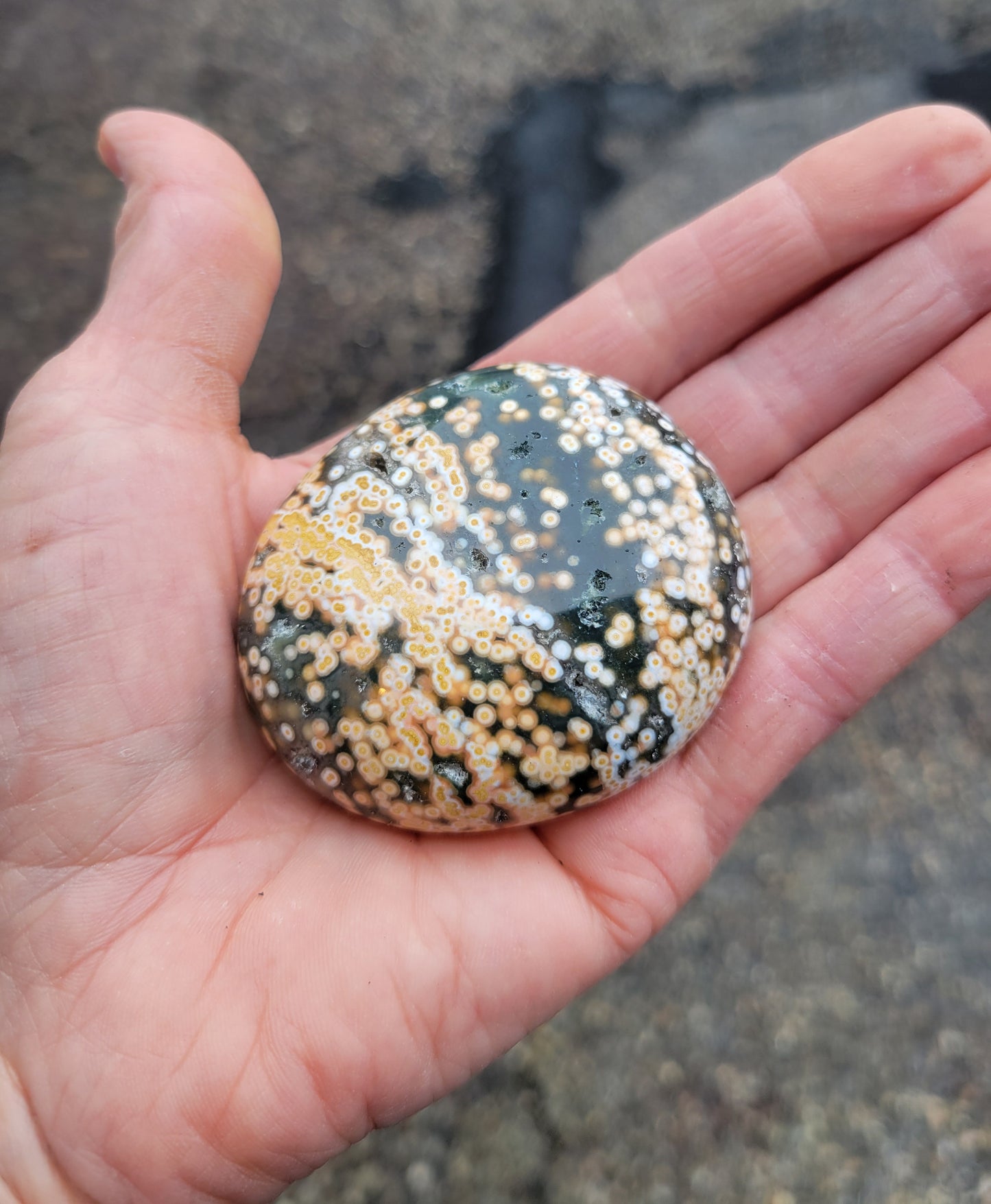 Ocean Jasper Palm Stone from Madagascar