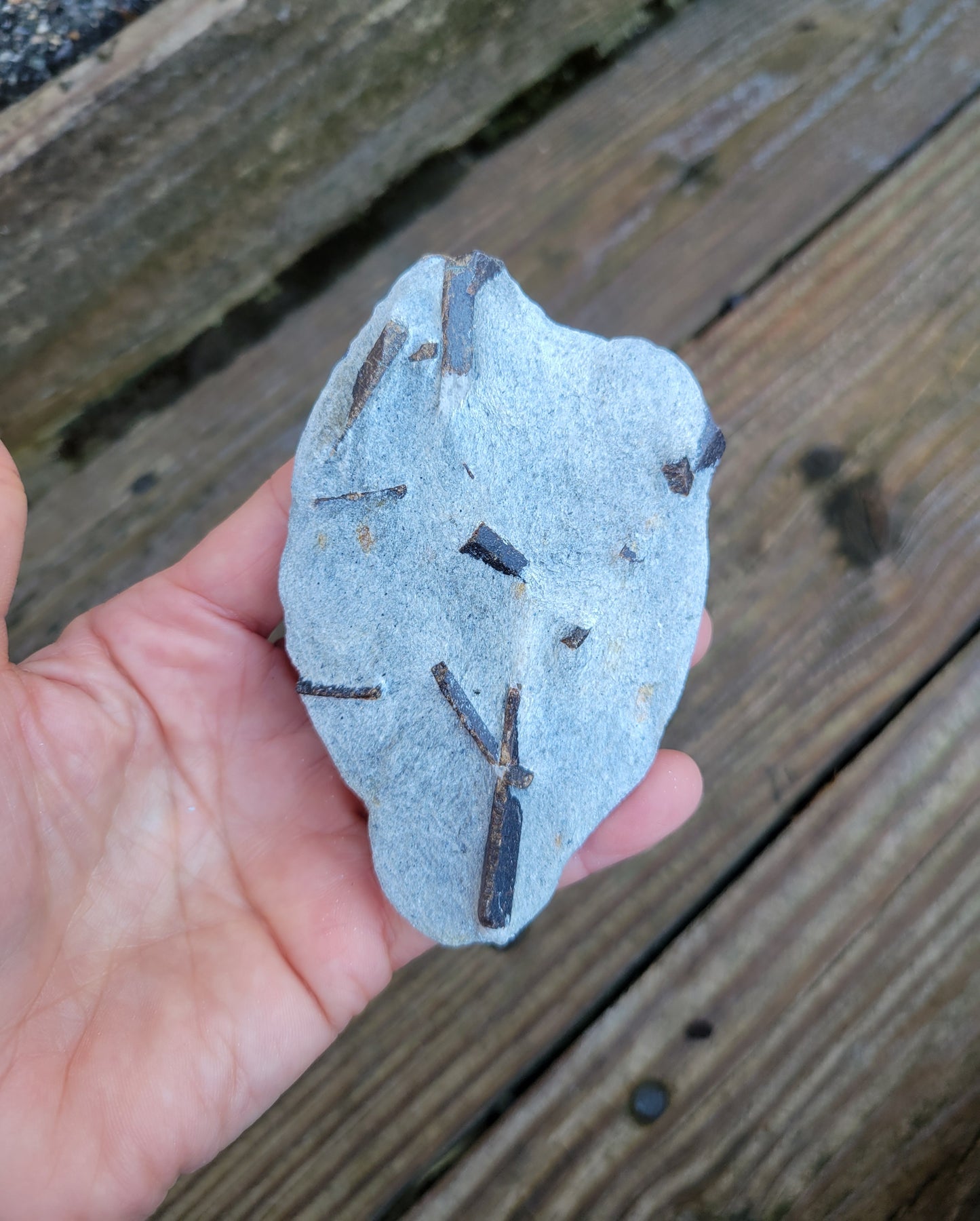 Staurolite from Keivy Mountains, Kola Peninsula, Russia