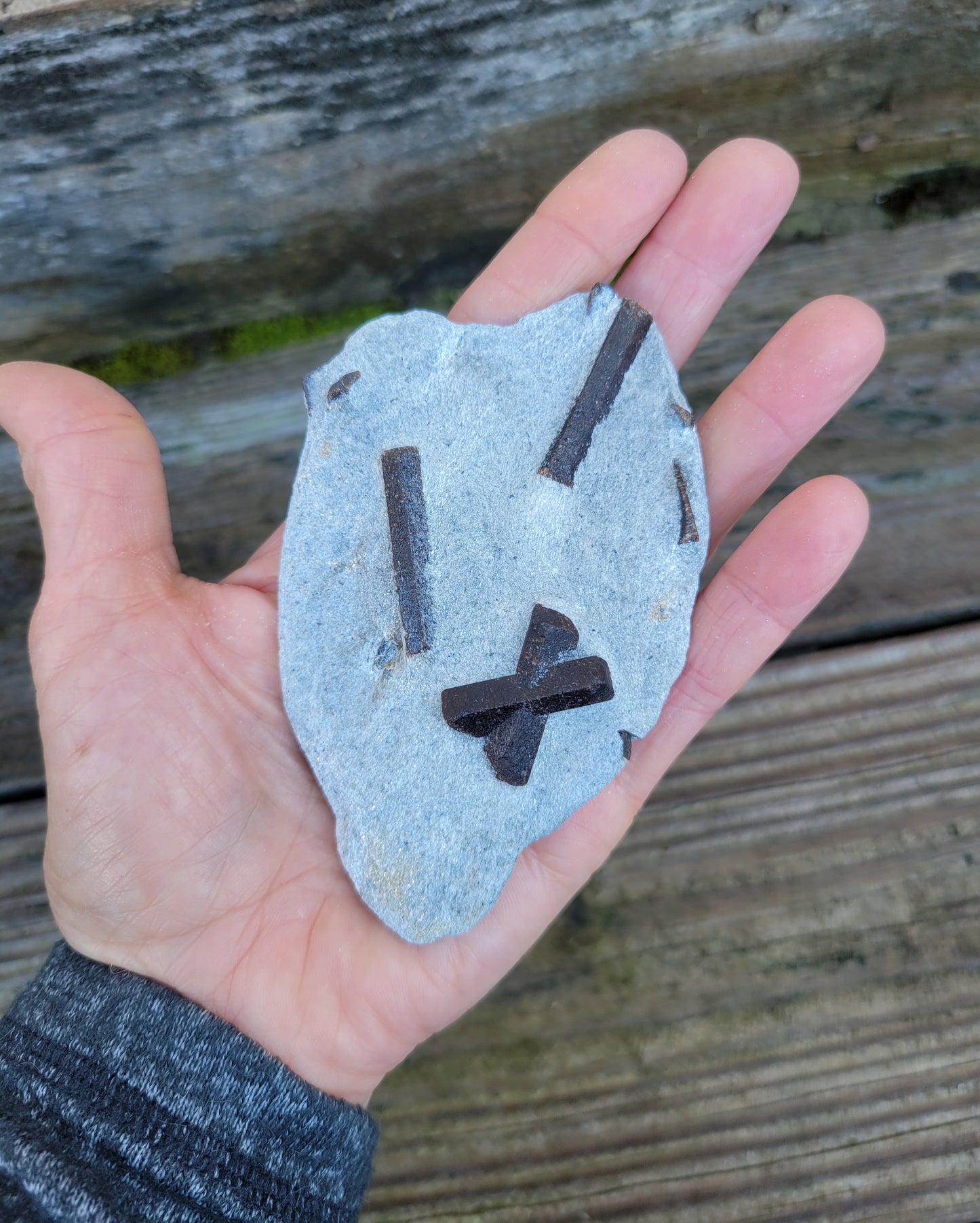 Staurolite from Keivy Mountains, Kola Peninsula, Russia