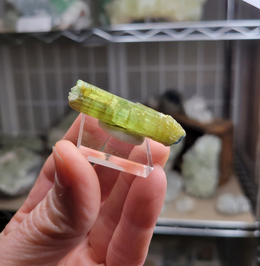 Indocolite capped Tourmaline from Brazil