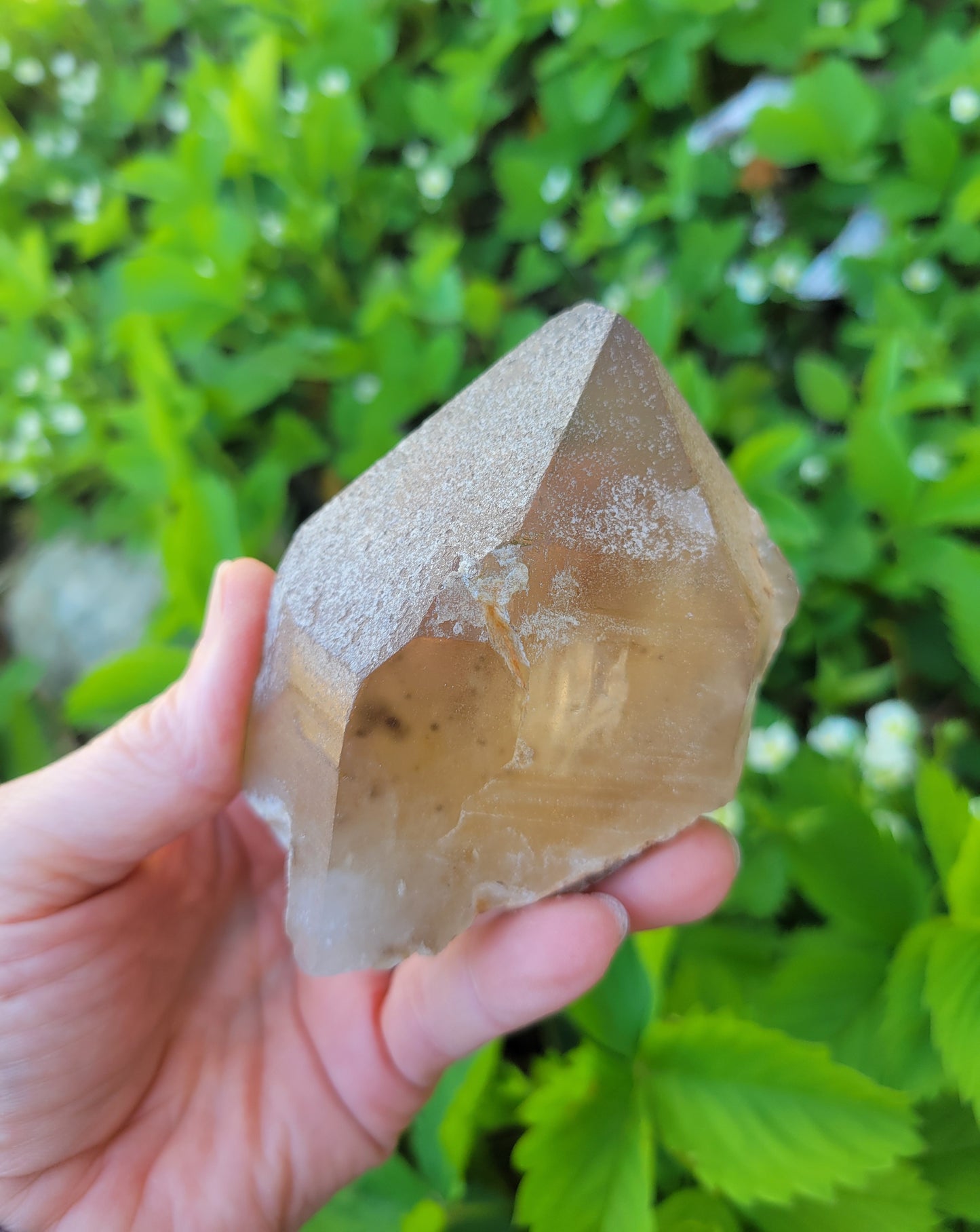 Citrine from Diamantina, Brazil