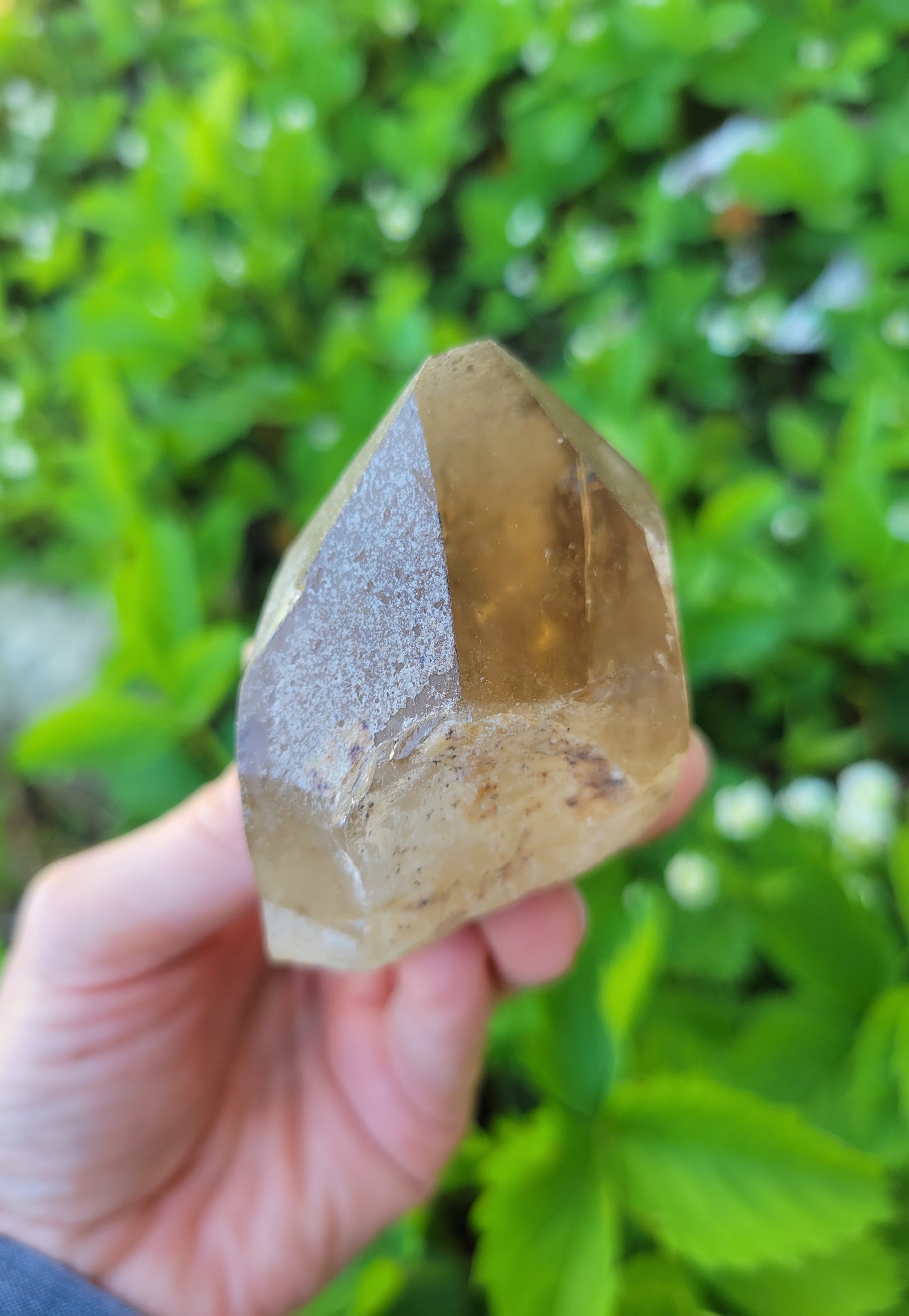 Citrine from Diamantina, Brazil