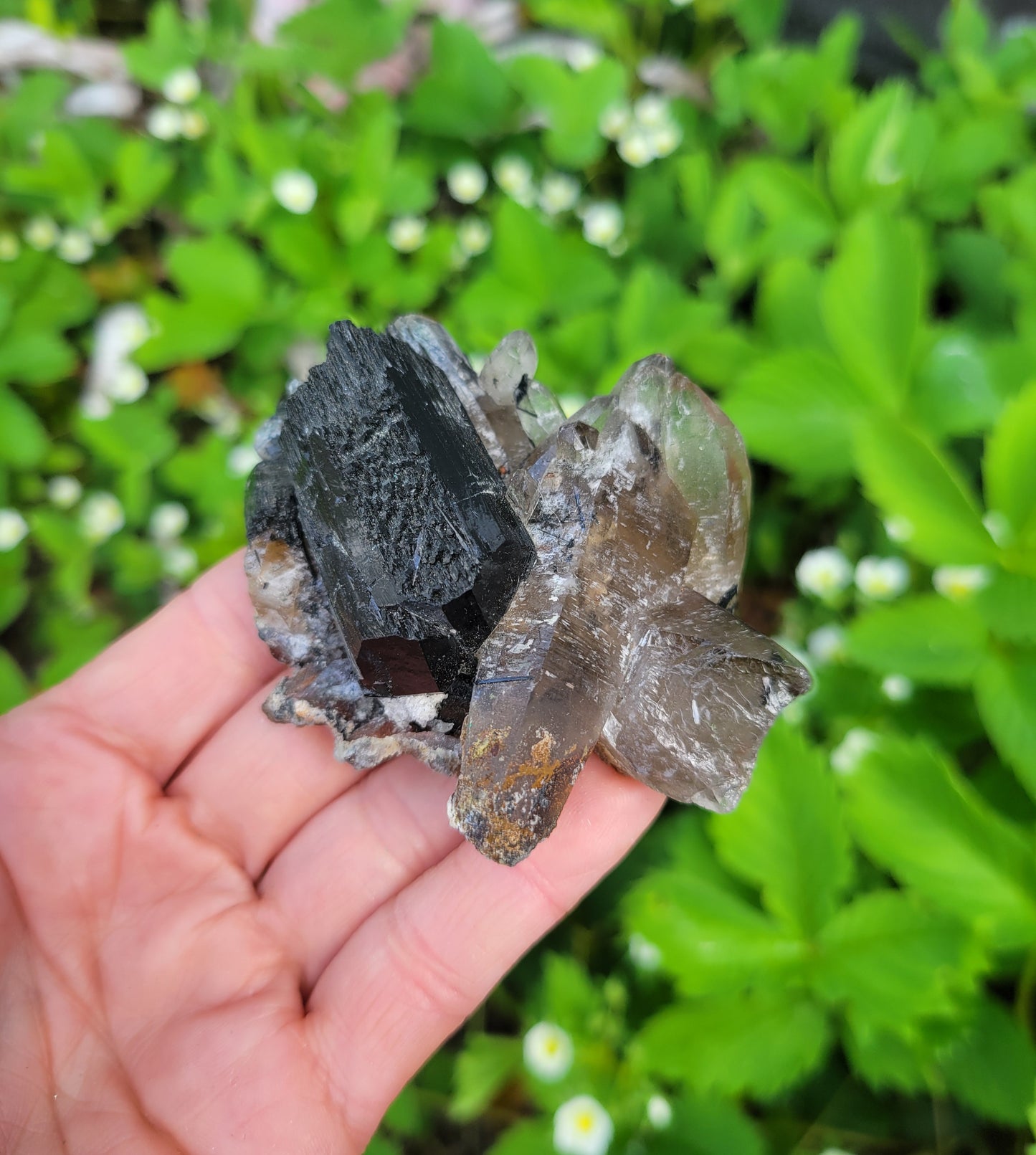 Tourmalinated Smokey Quartz and Black Tourmaline from Namibia