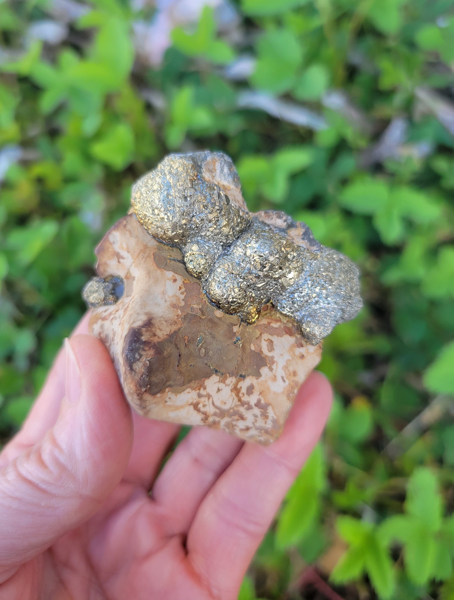 Pyrite with Rainbow Iridescence from Pakistan