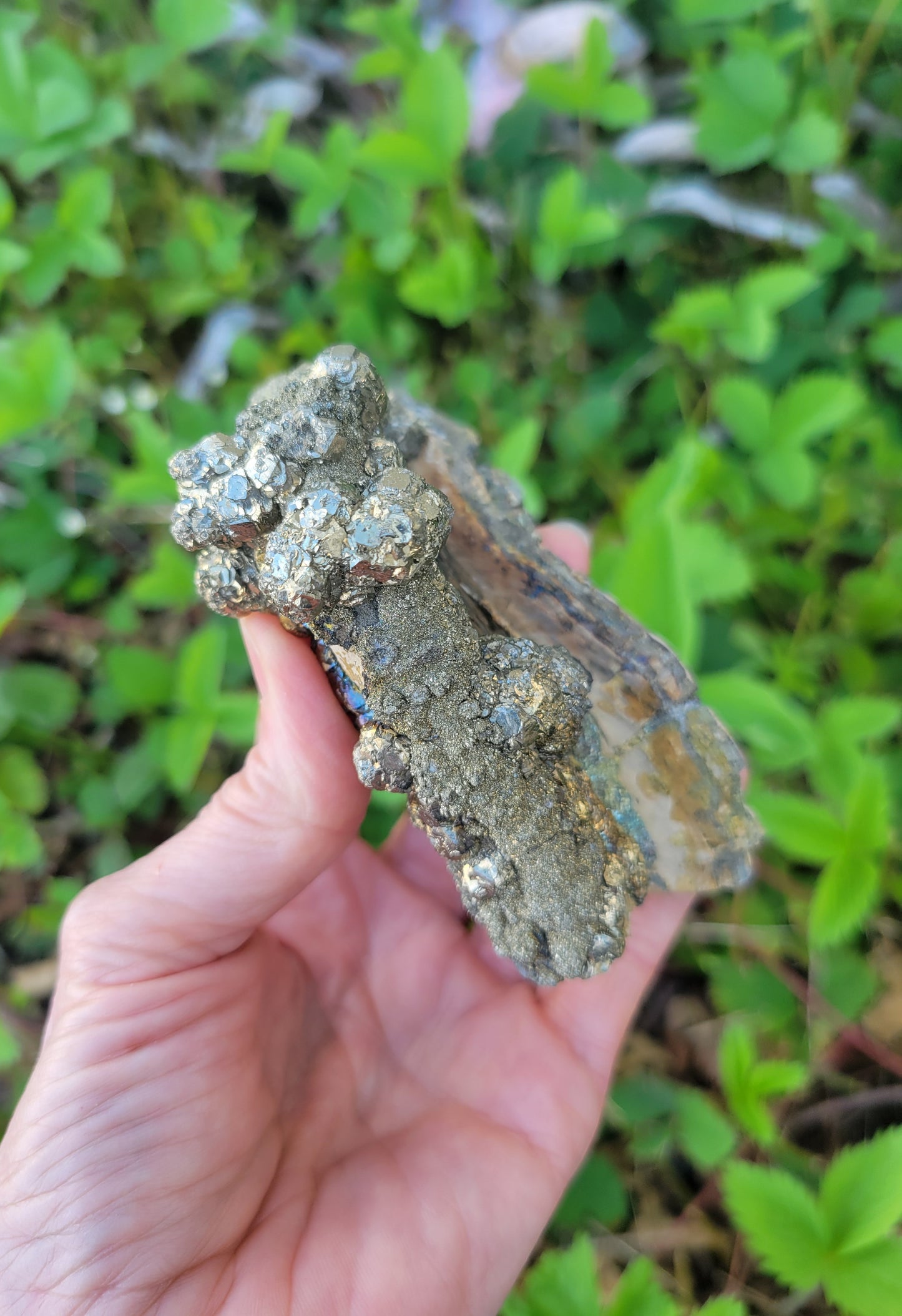 Pyrite with Rainbow Iridescence from Pakistan
