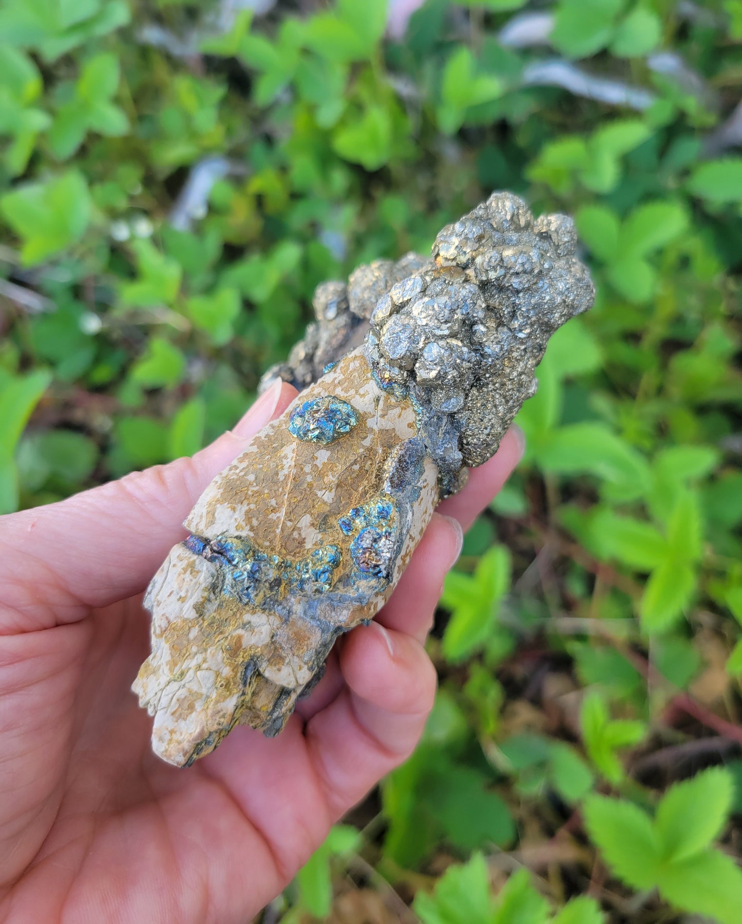 Pyrite with Rainbow Iridescence from Pakistan