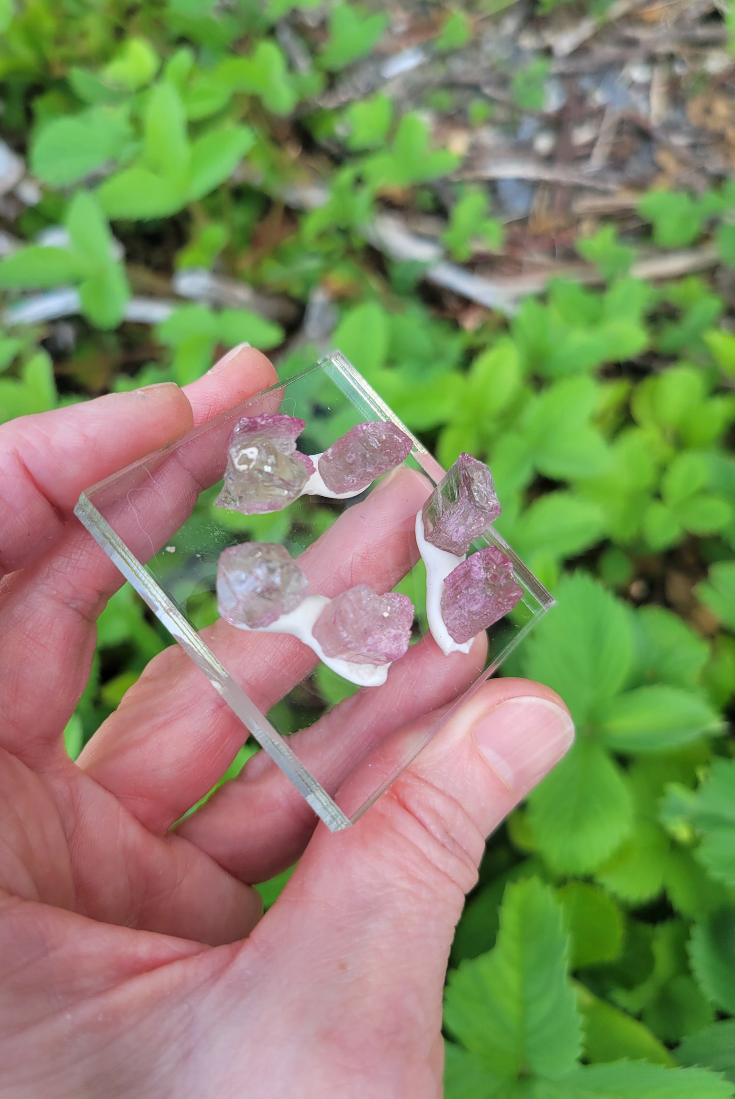 Watermelon Tourmaline from Morro Redondo, Brazil