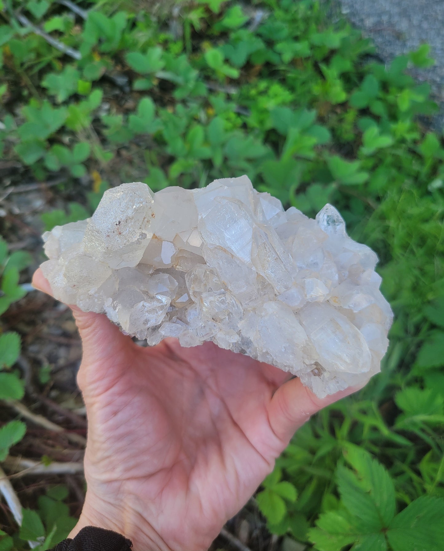 Himalayan Cathedral Quartz Cluster with Tourmaline Needles from Himachal Pradesh, India