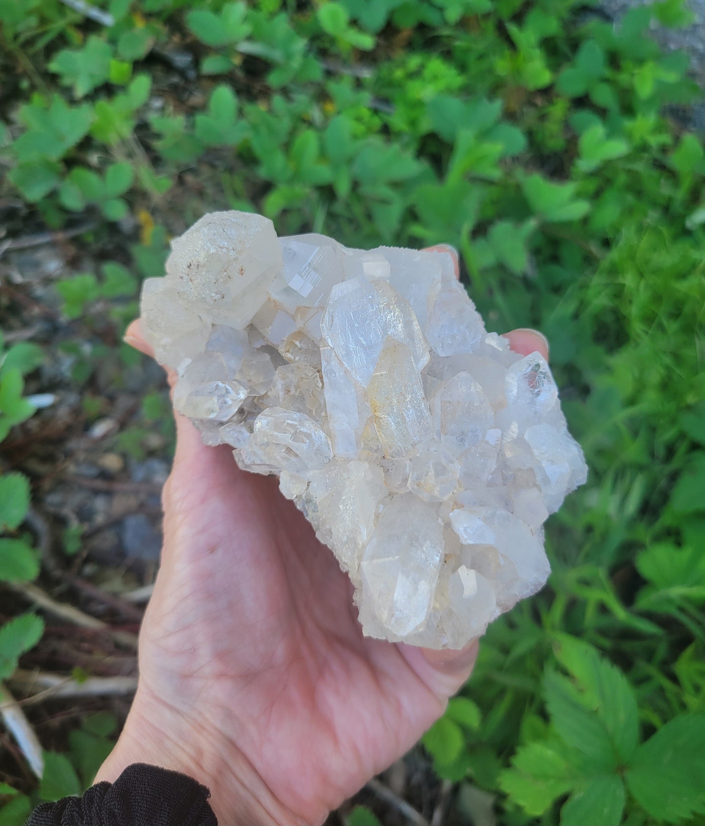 Himalayan Cathedral Quartz Cluster with Tourmaline Needles from Himachal Pradesh, India