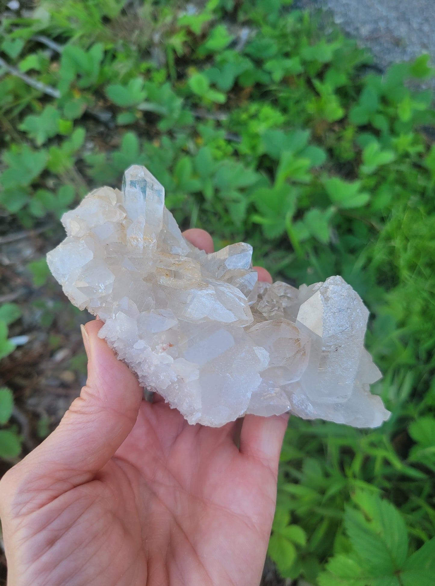 Himalayan Cathedral Quartz Cluster with Tourmaline Needles from Himachal Pradesh, India
