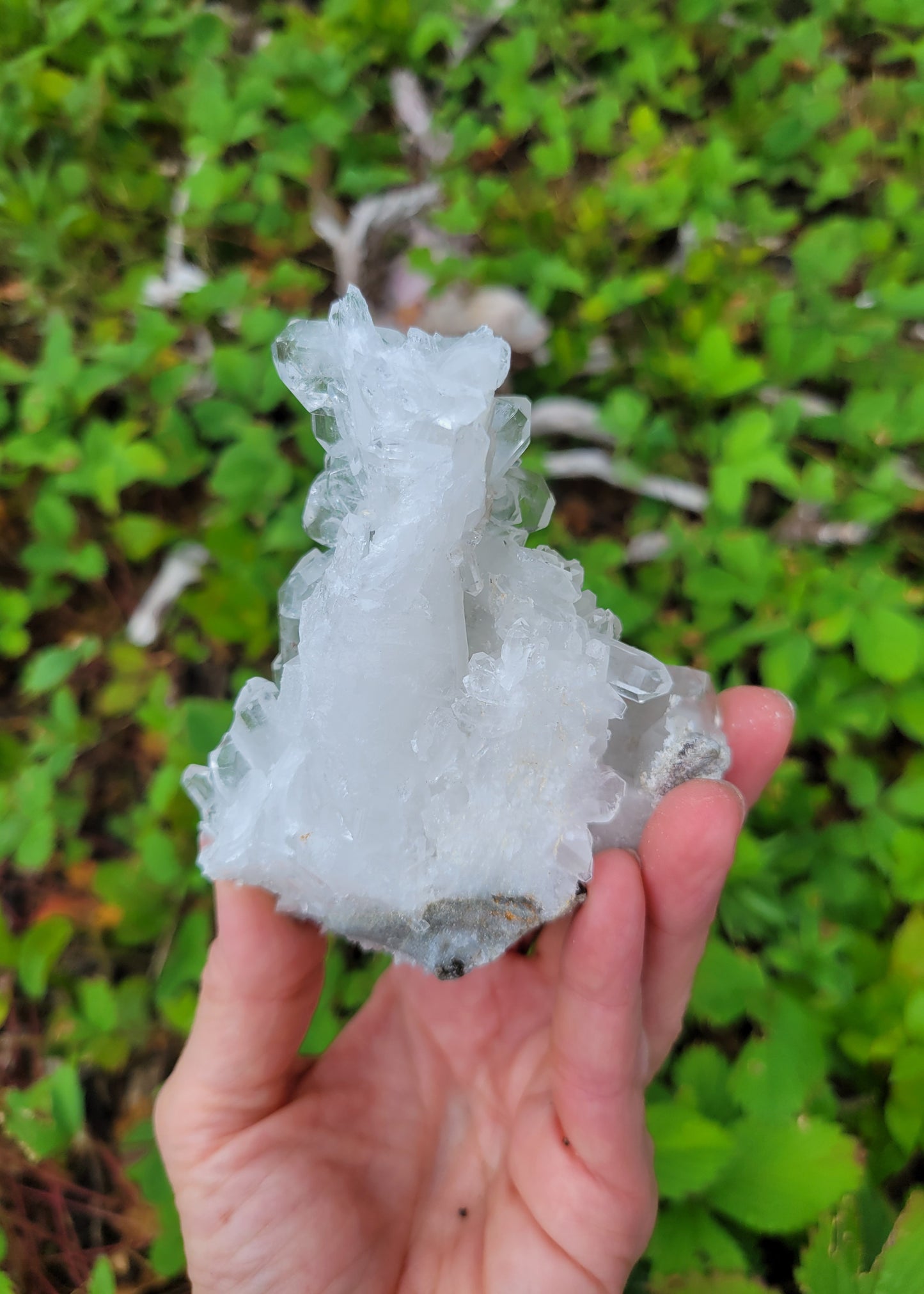 Faden Quartz Cluster from Pakistan