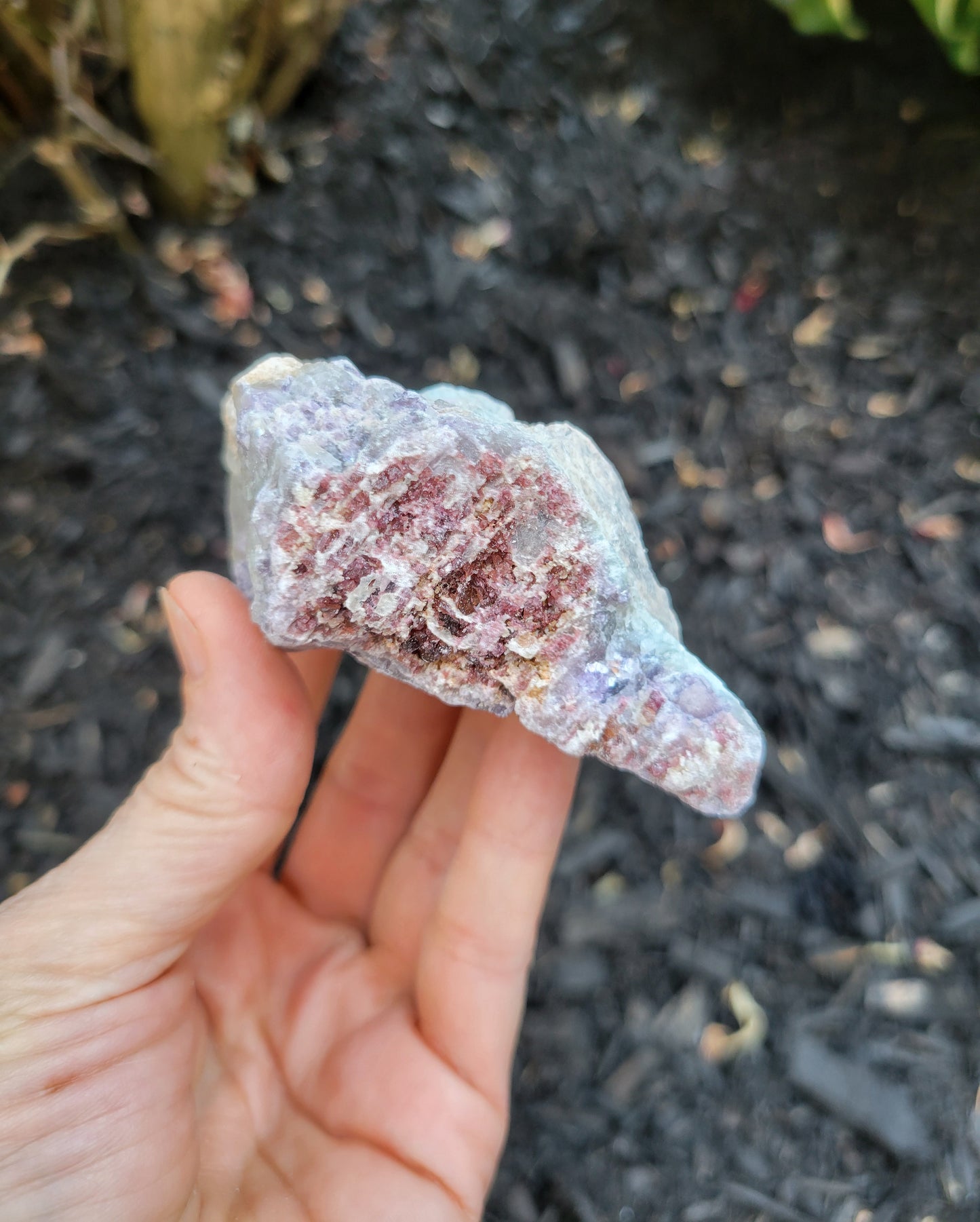 Lepidolite, Rubellite, Smokey Quartz and Cleavelandite from Brazil