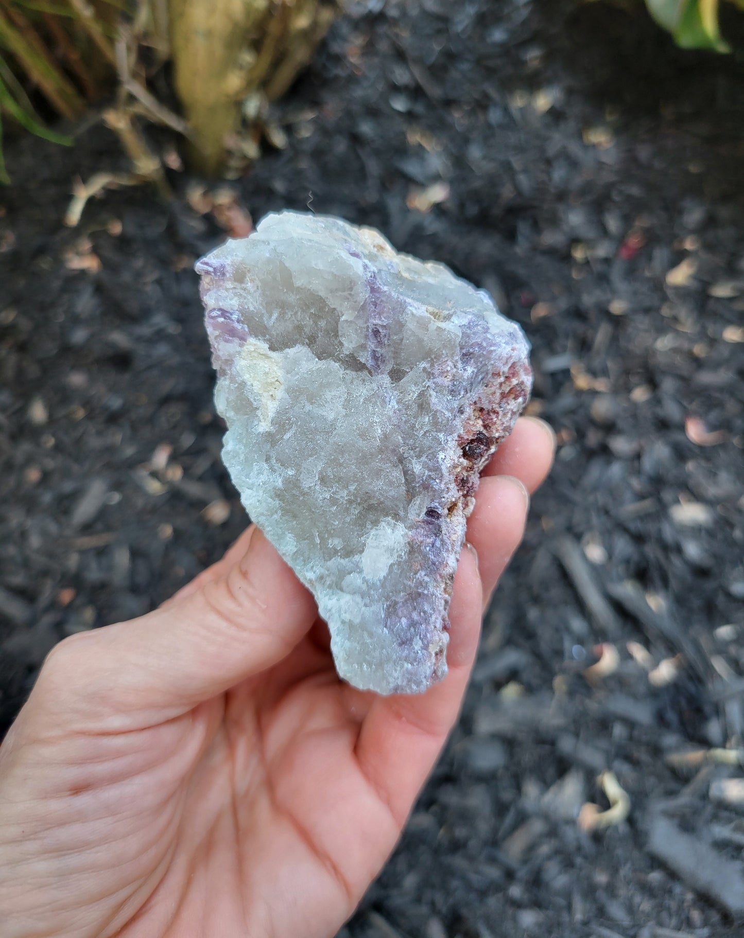 Lepidolite, Rubellite, Smokey Quartz and Cleavelandite from Brazil