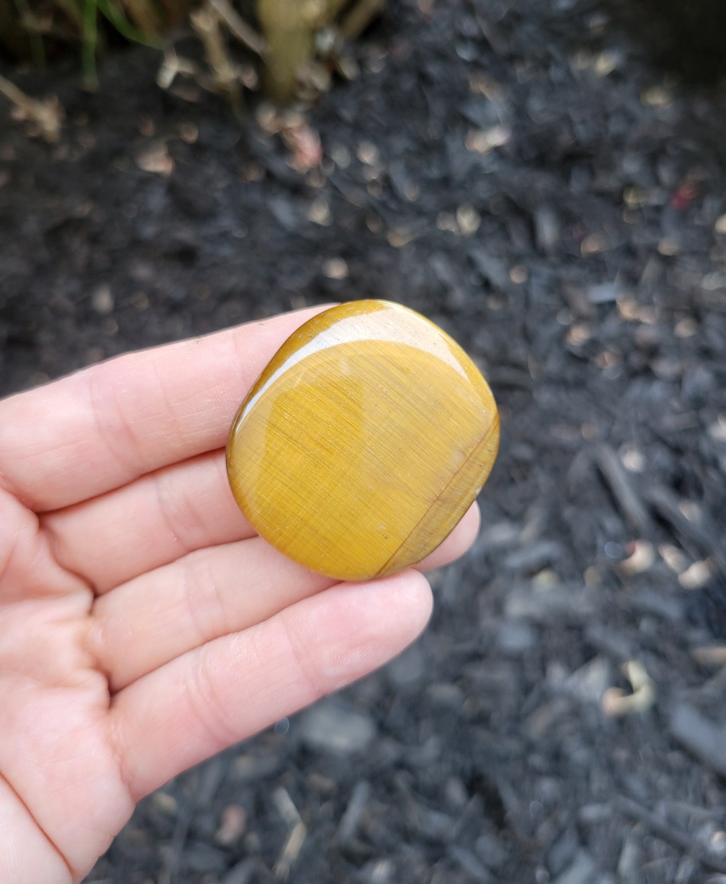 Tiger's Eye Flat Stone from South Africa