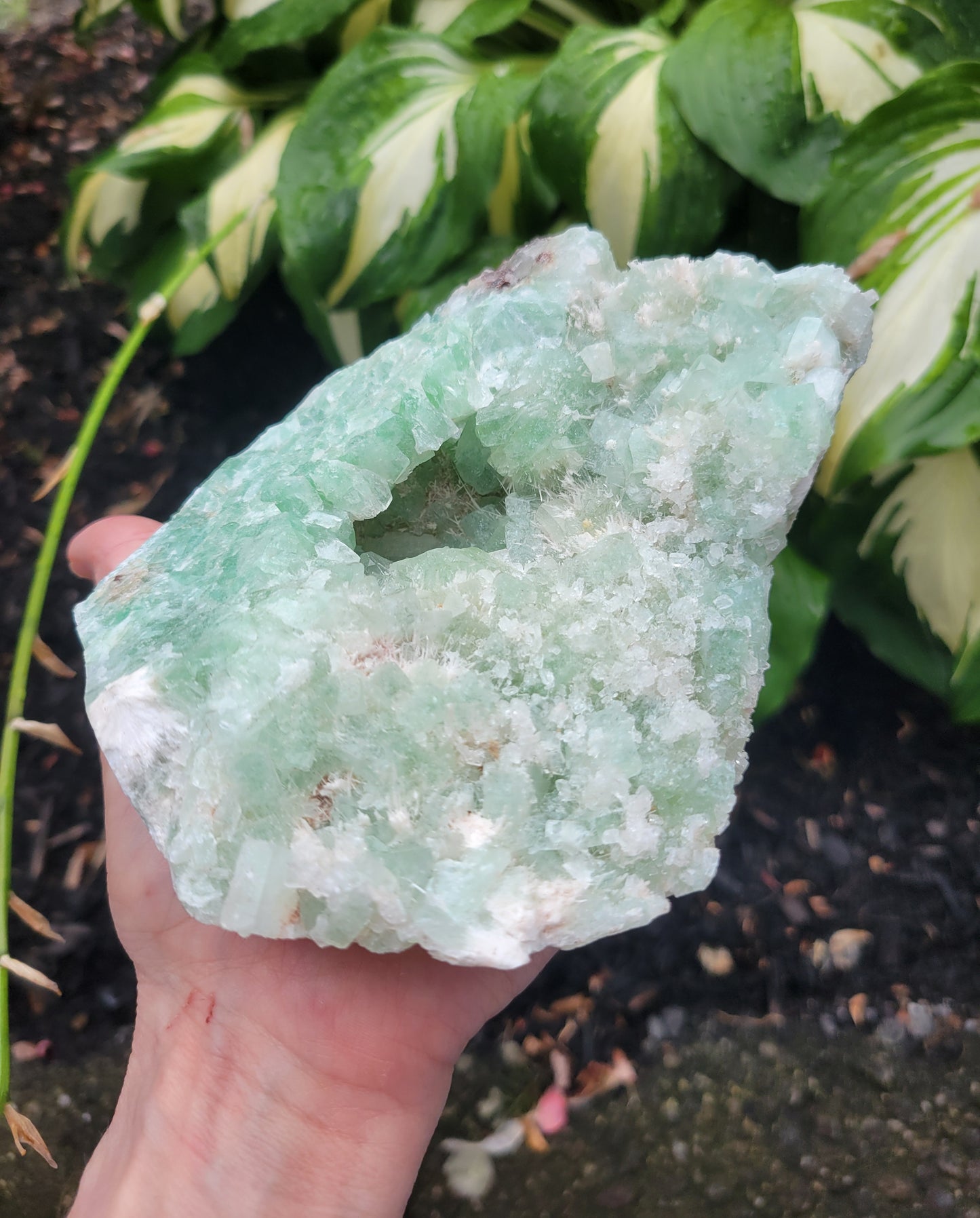 Apophyllite and Scolecite from India