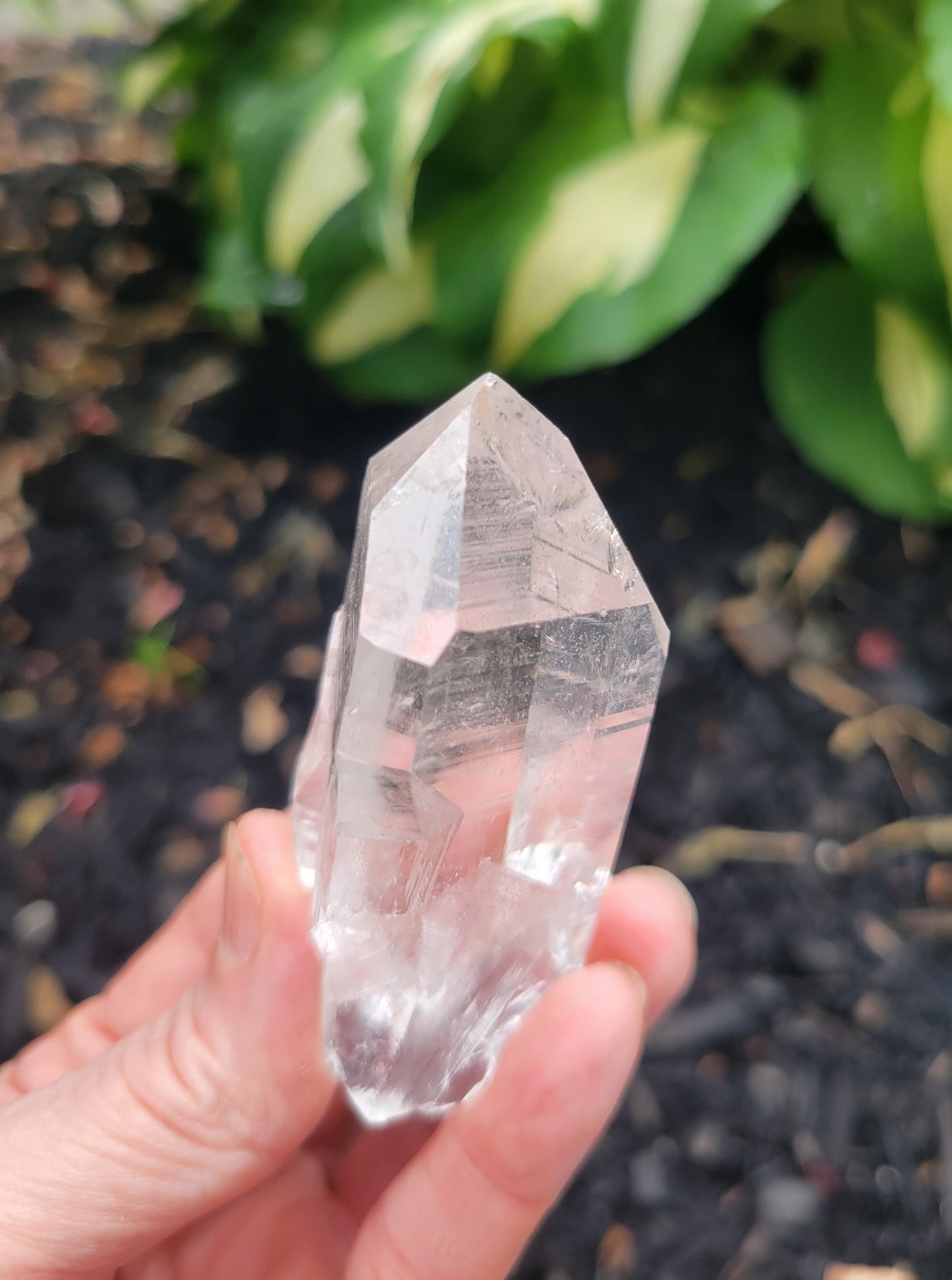 Himalayan Cathedral Quartz Point from Himachal Pradesh, India
