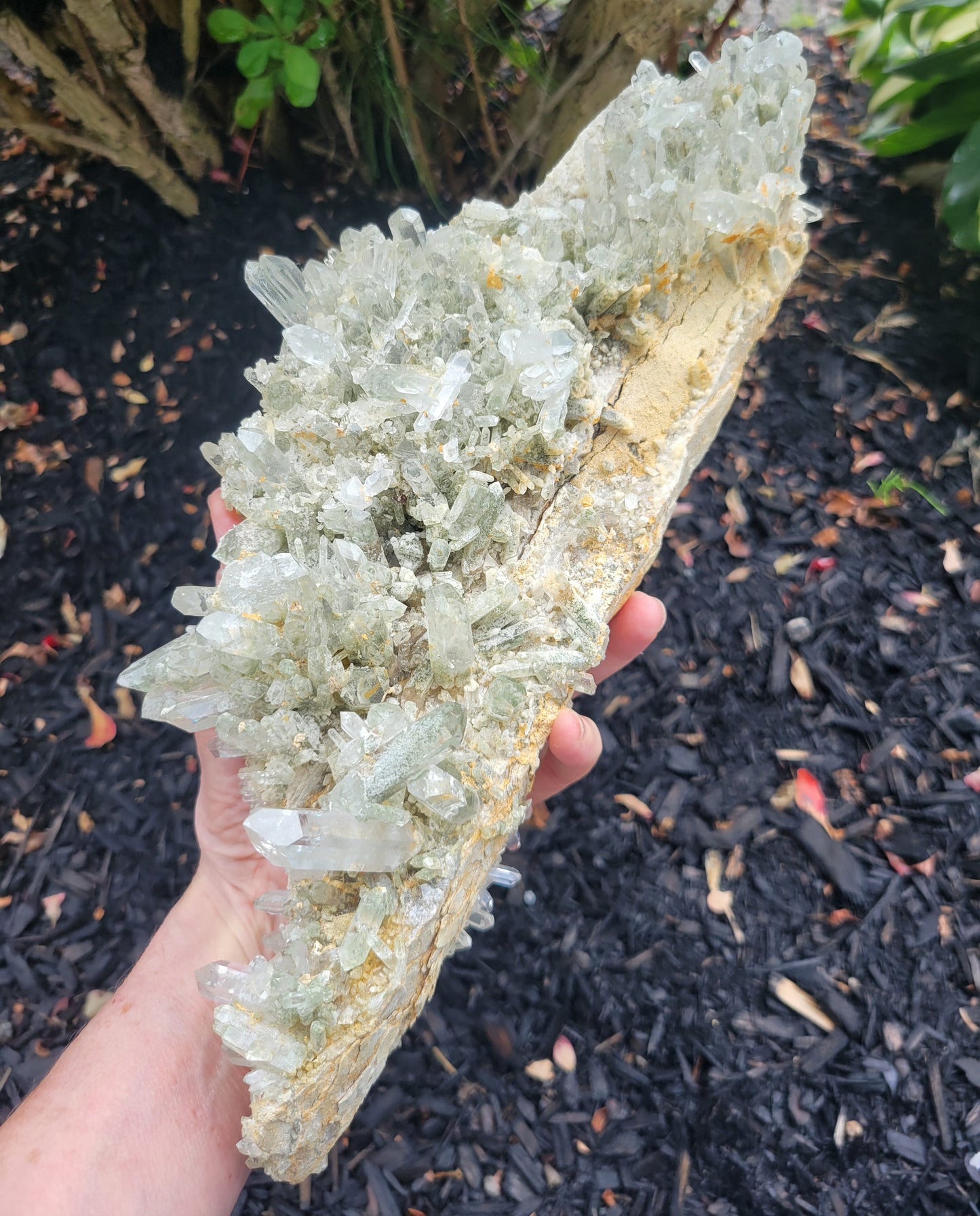 Quartz Cluster with Clinochlore from Pakistan