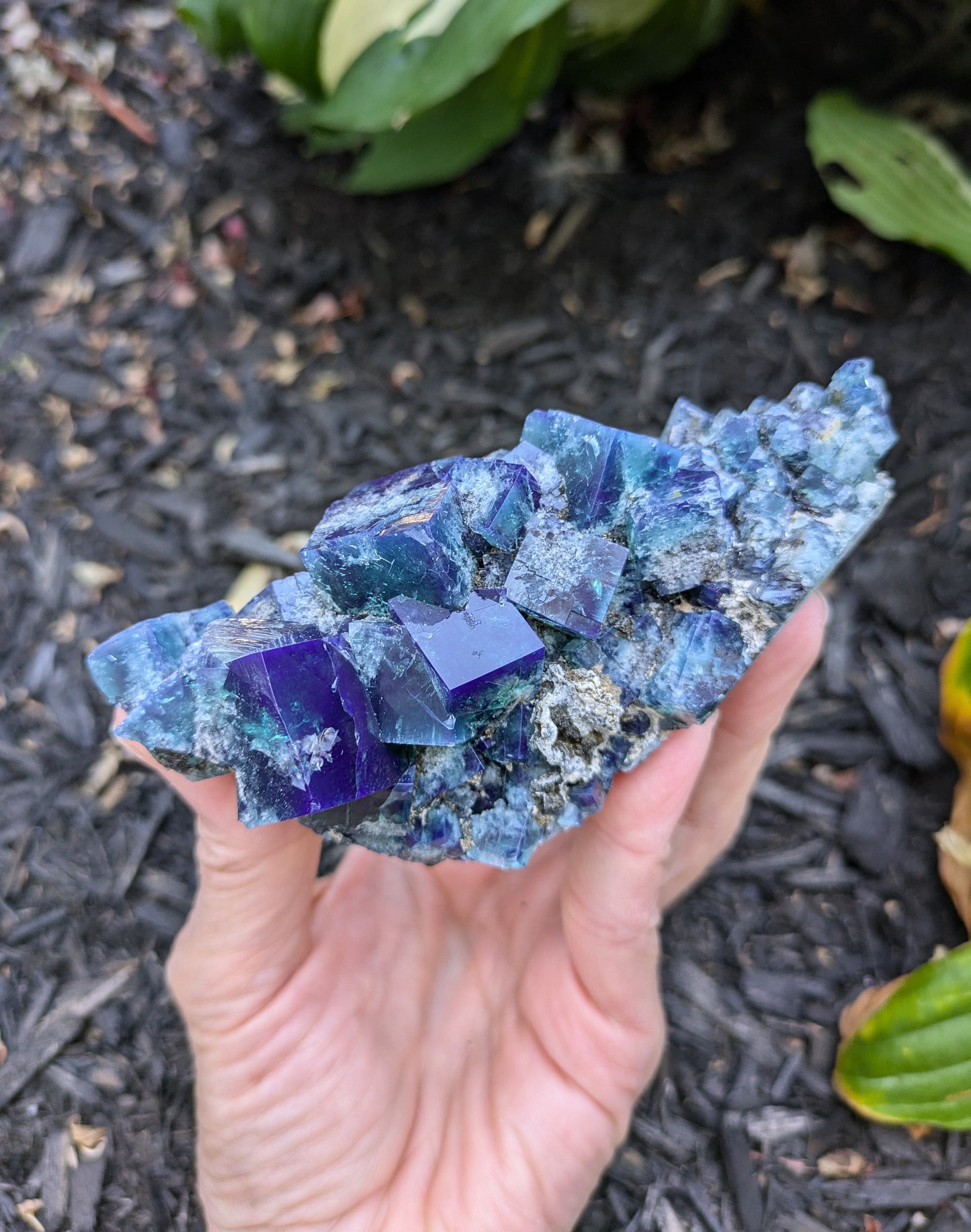 Fluorite from the Hidden Forest Pocket, Diana Maria Mine, Frosterly Weardale, Co. Durham, England
