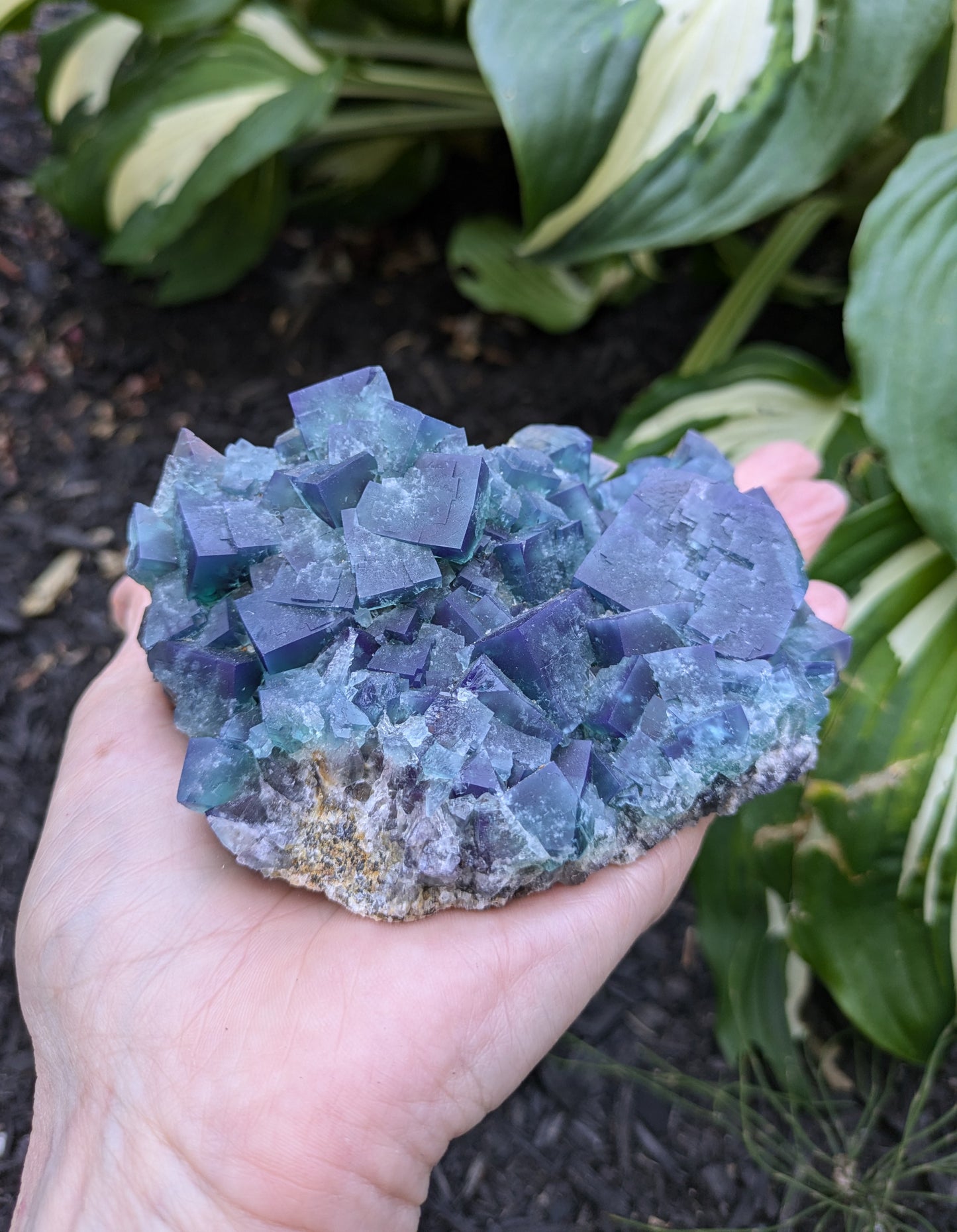 Fluorite from the Naughty Gnome Pocket, Diana Maria Mine, Frosterly Weardale, Co. Durham, England
