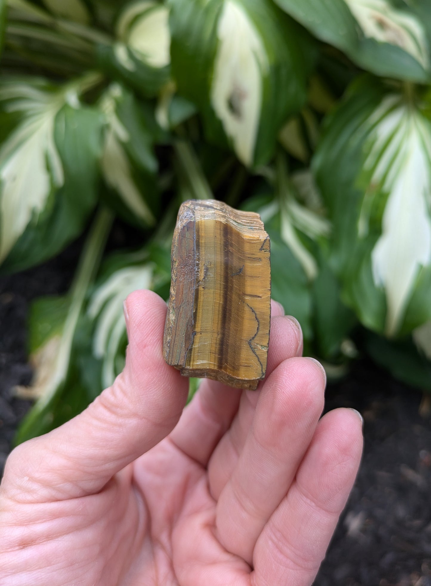 Tiger's Eye Tower from South Africa
