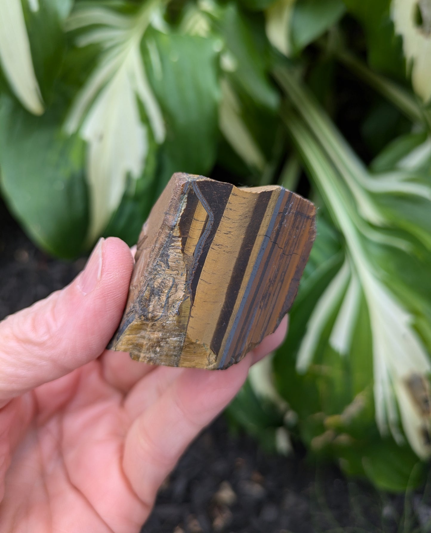 Tiger's Eye Tower from South Africa