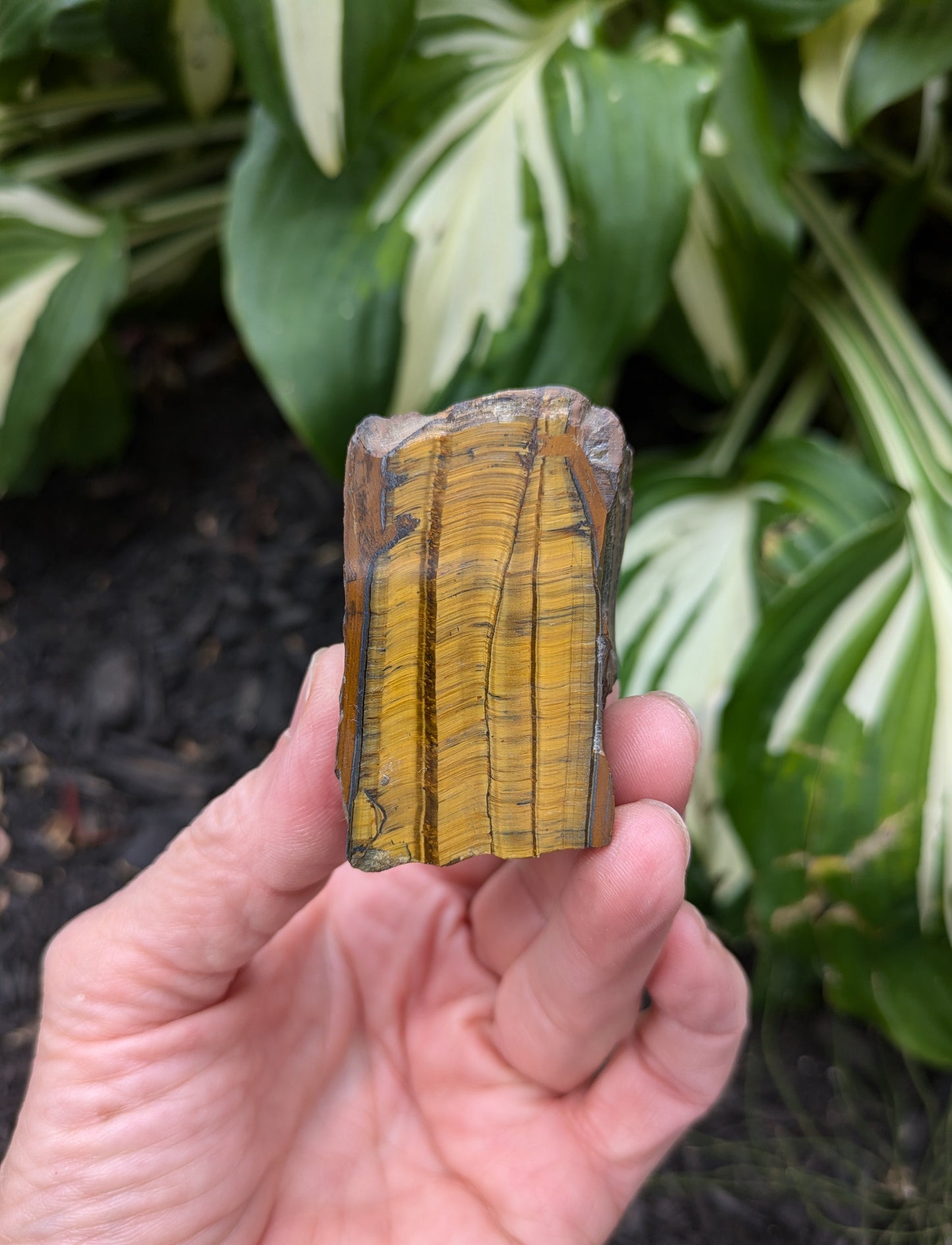 Tiger's Eye Tower from South Africa