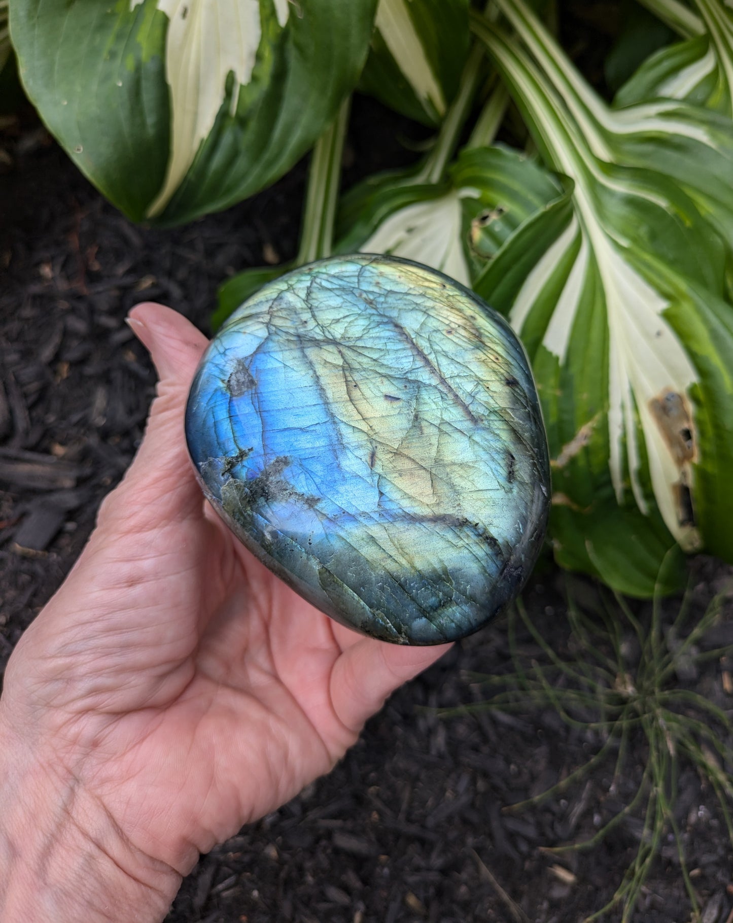 Labradorite Palm Stone XL from Madagascar