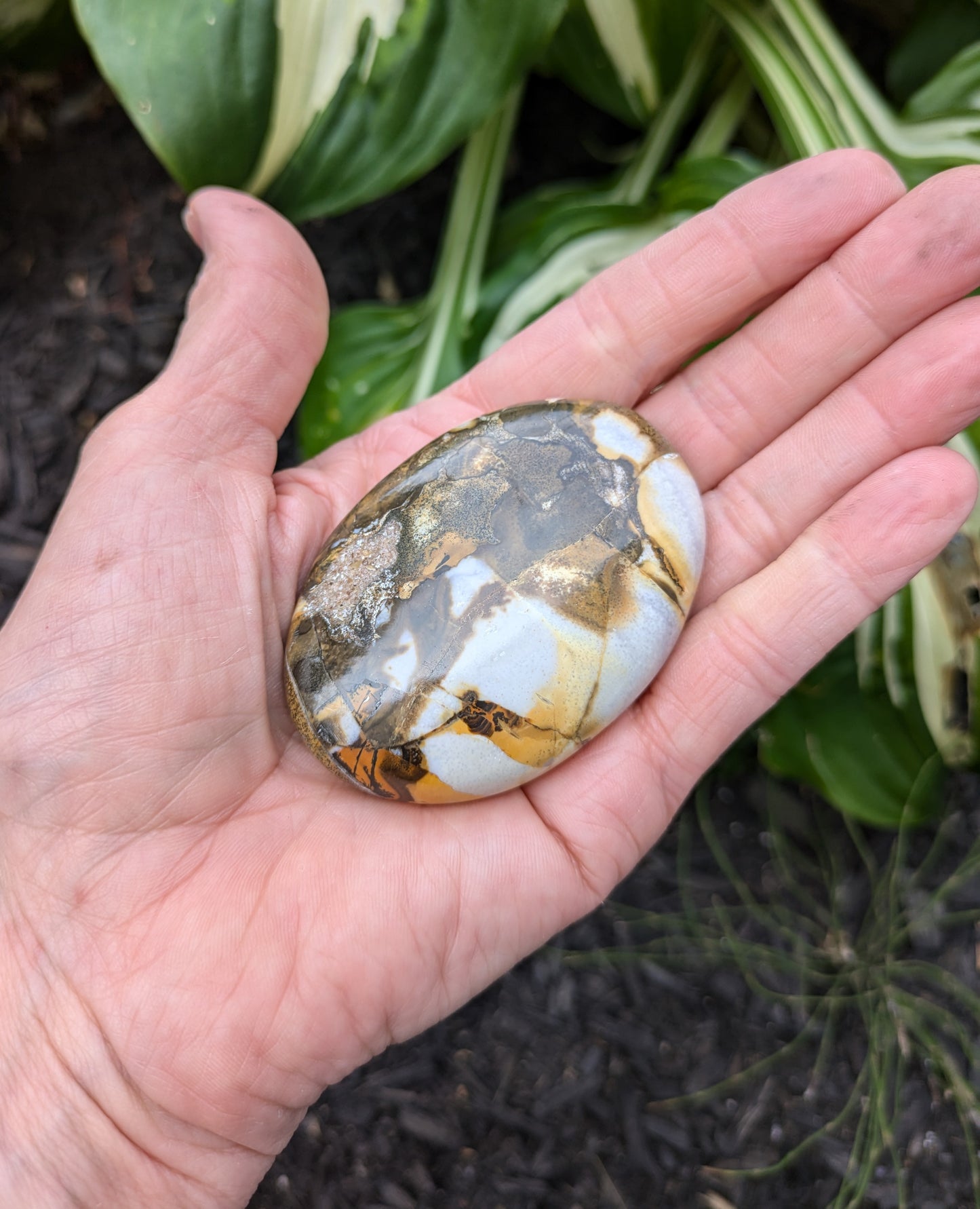 Jasper Palm Stone from India