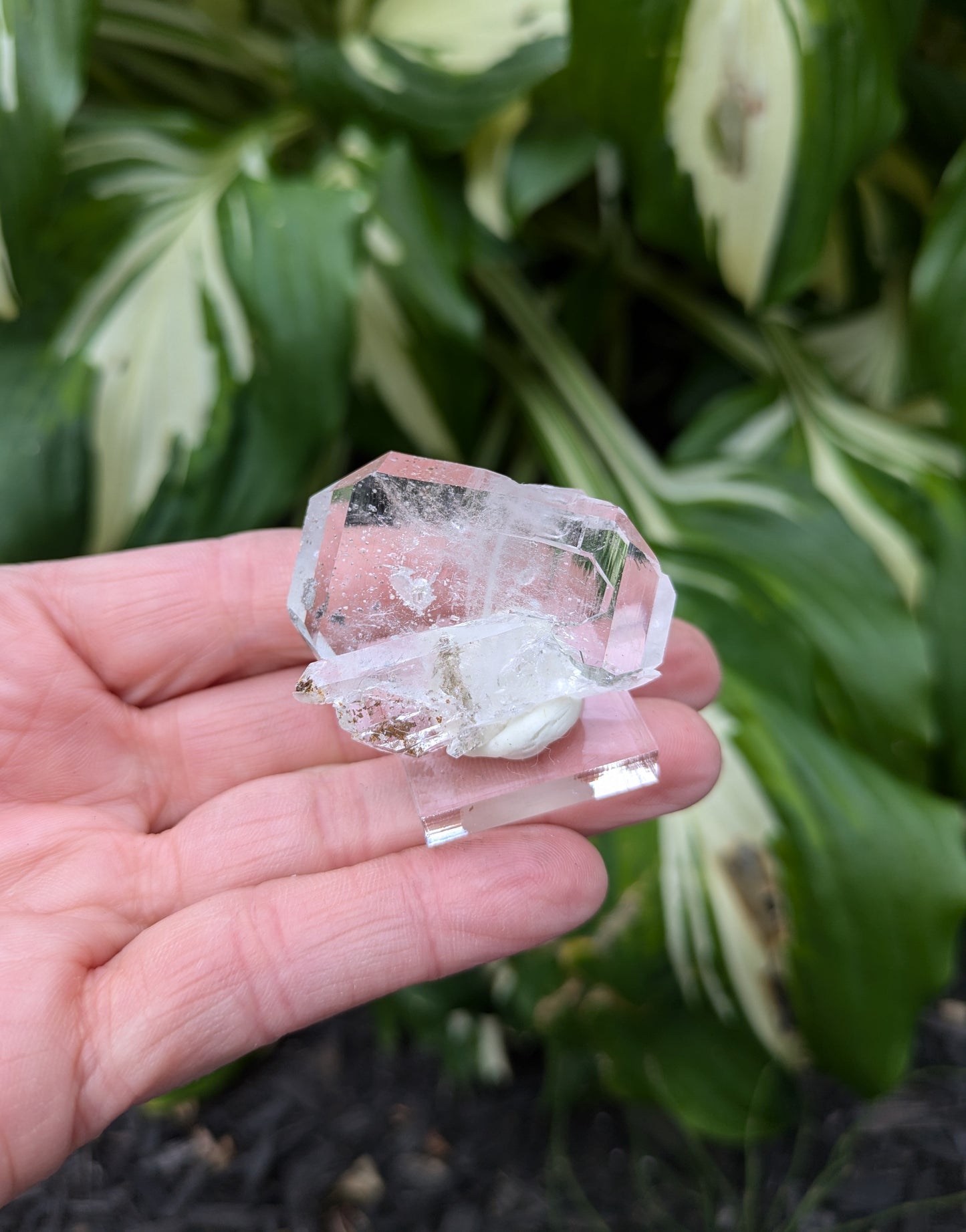 Faden Quartz with Hematite Confetti from Pakistan