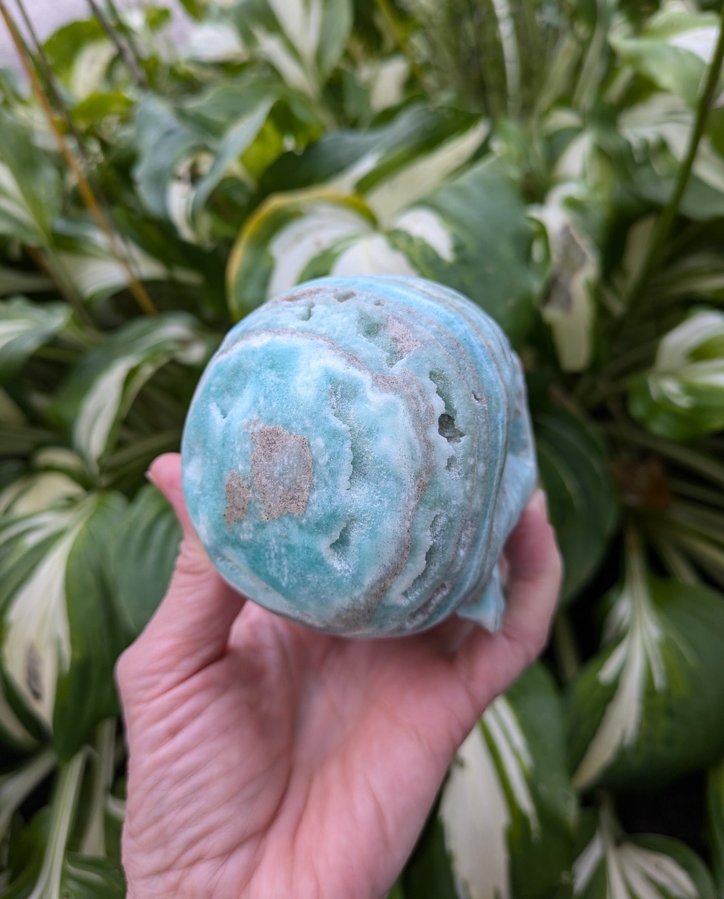 Blue Aragonite Skull Carving from Pakistan