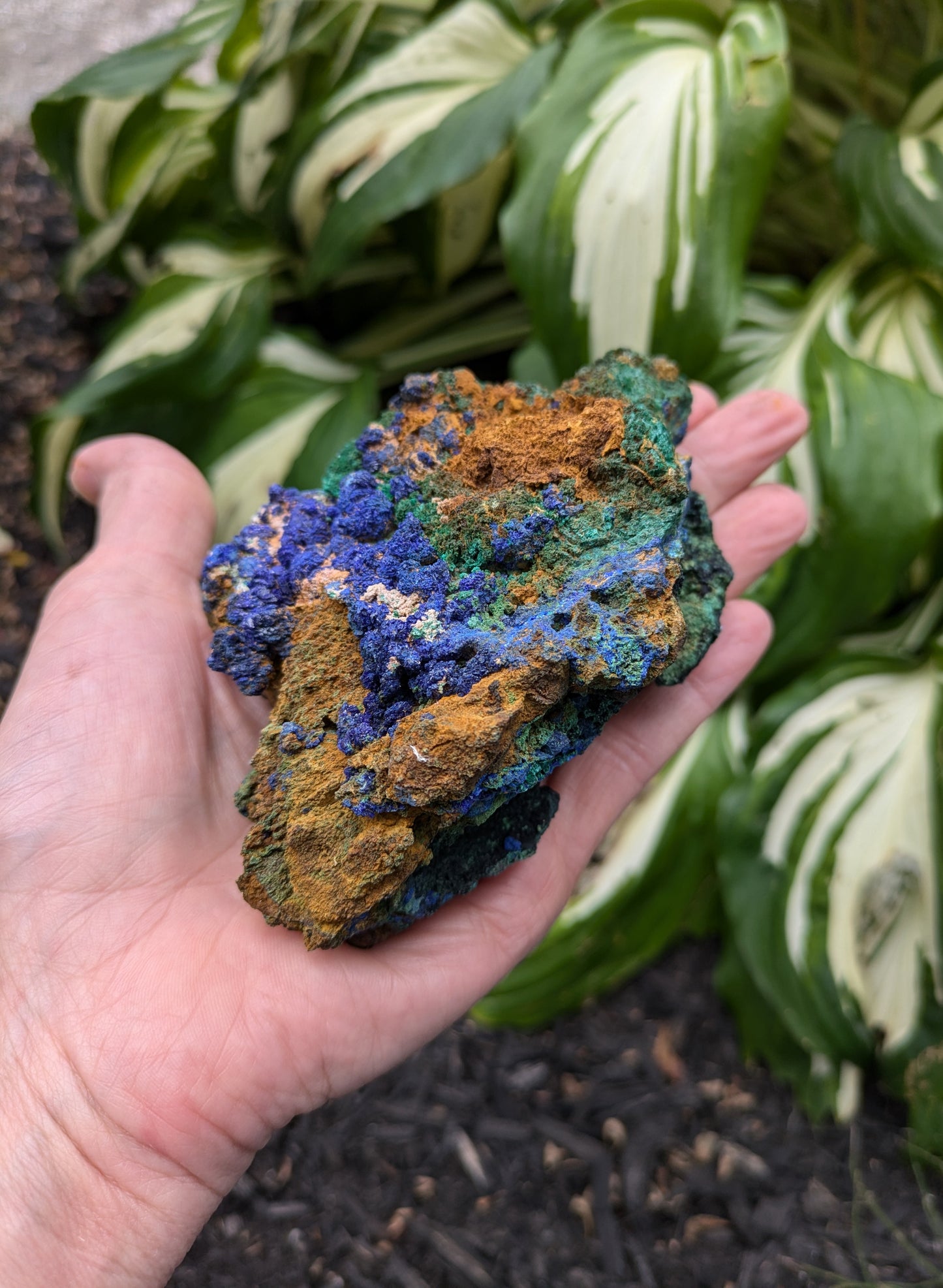 Azurite and Malachite from Morocco