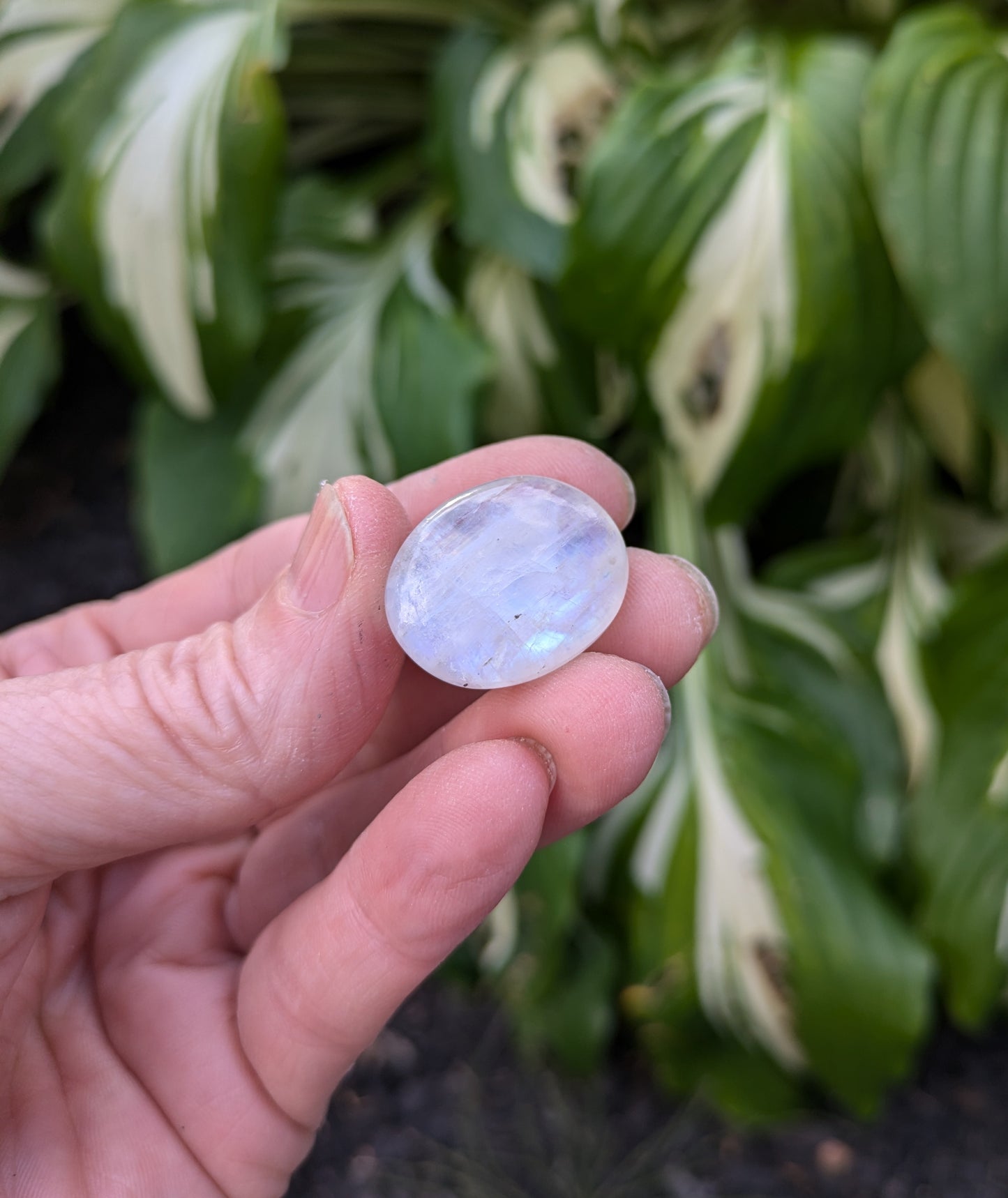 Rainbow Moonstone from India