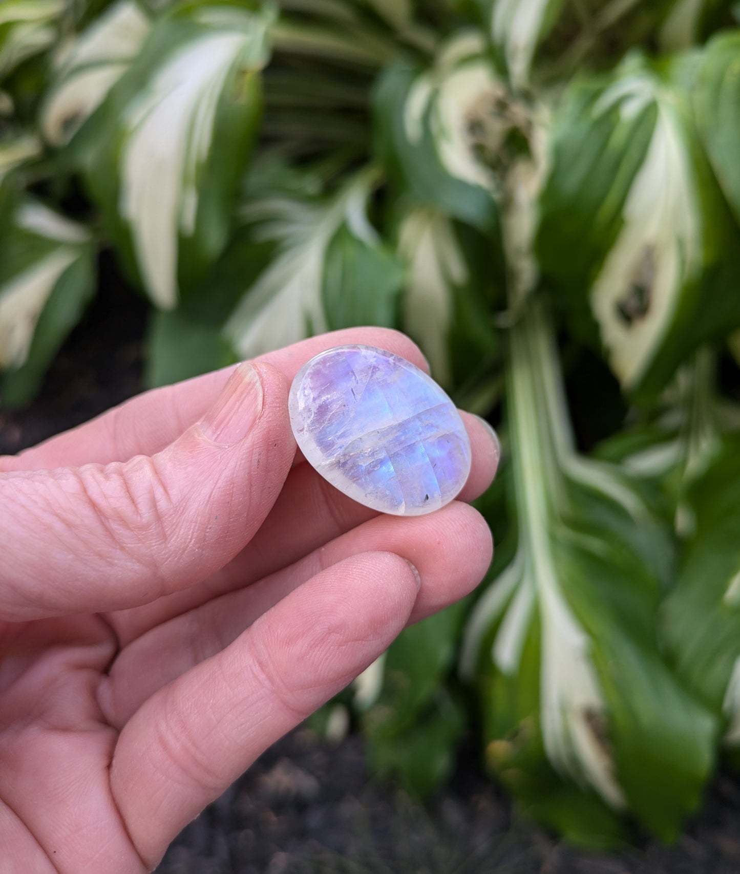 Rainbow Moonstone from India