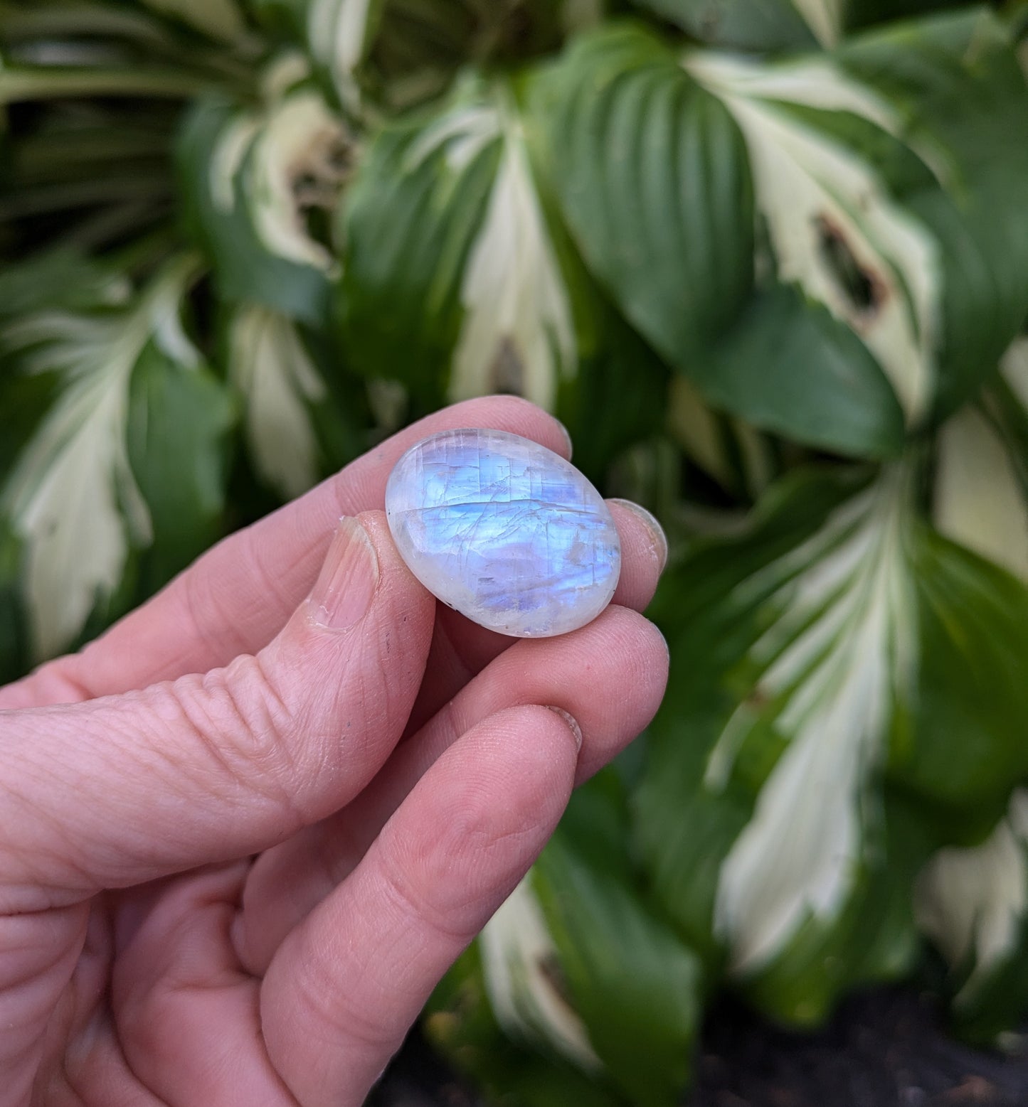 Rainbow Moonstone from India
