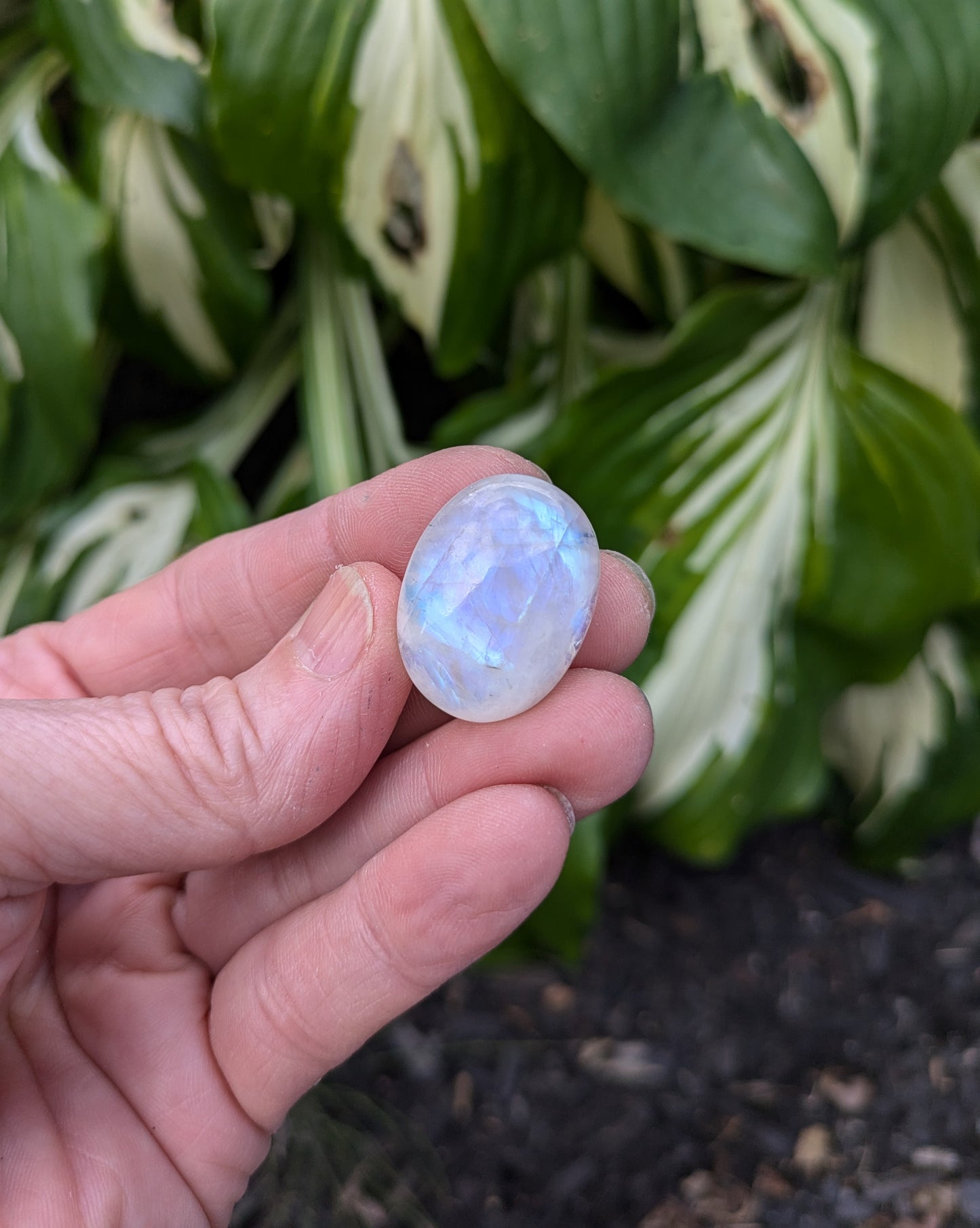 Rainbow Moonstone from India